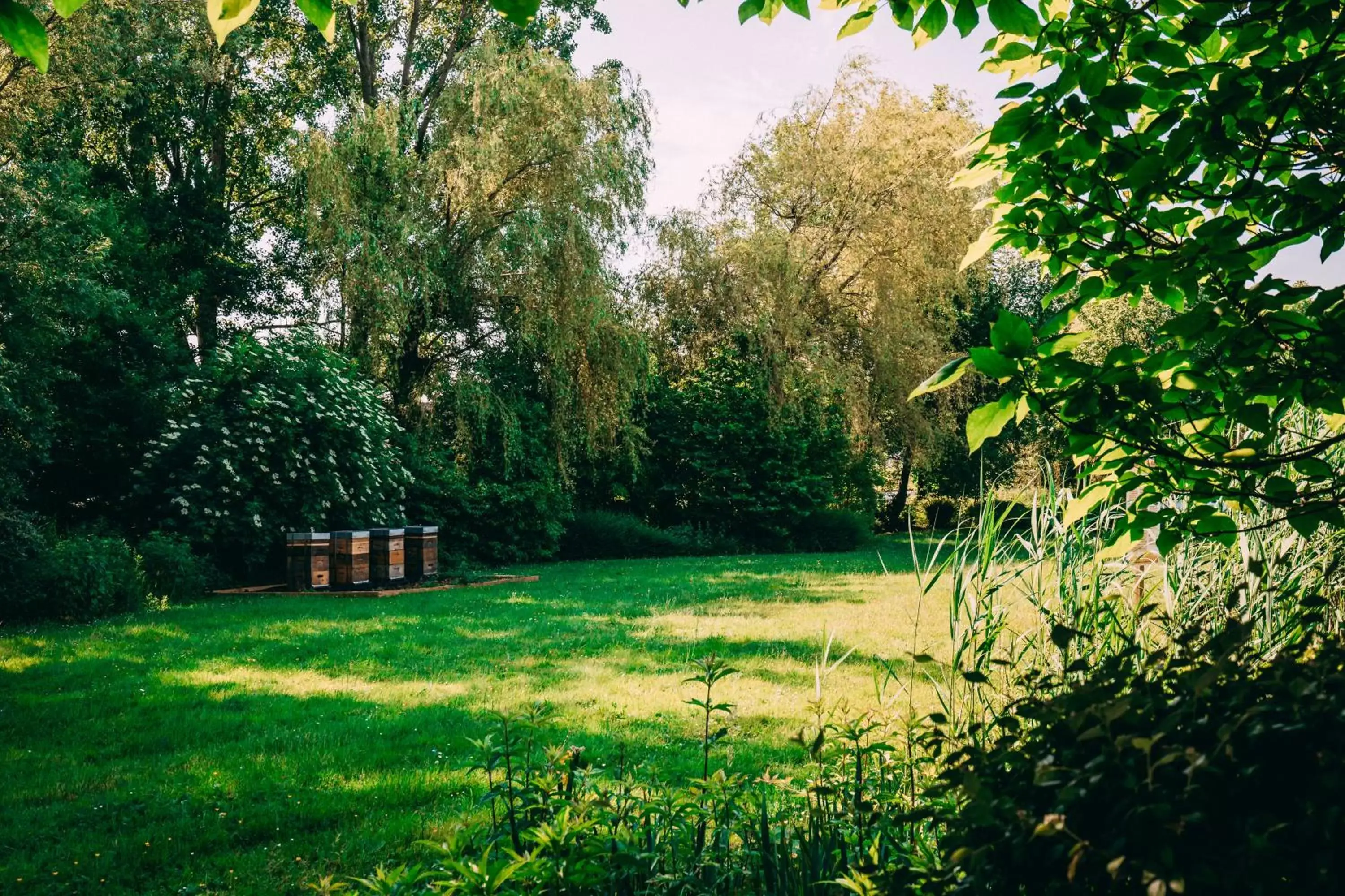 Garden in Hotel Ter Elst