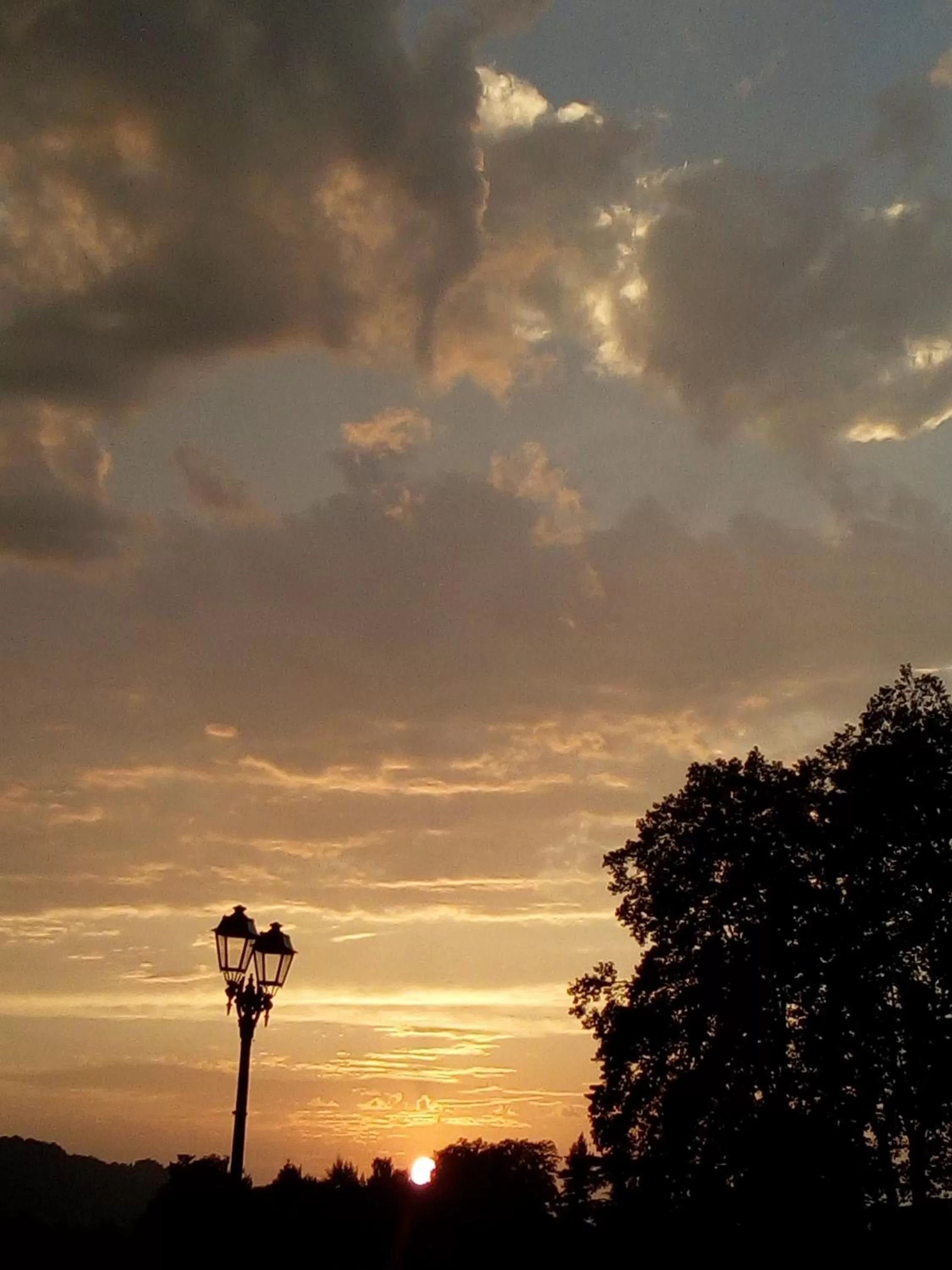 Natural landscape in Hôtel Central