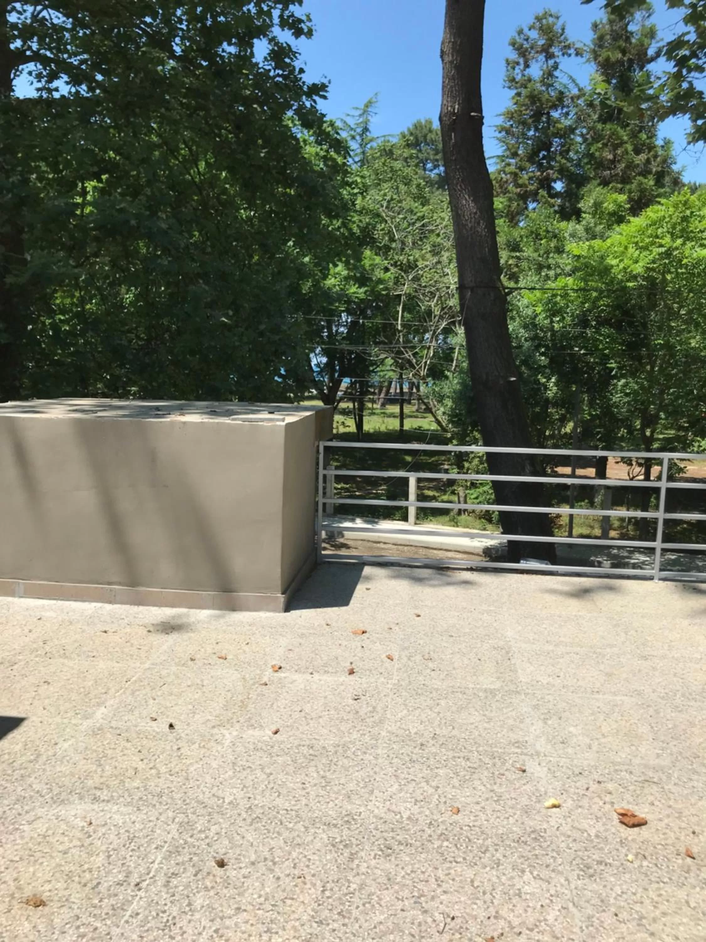 Day in Hotel Nino Ureki