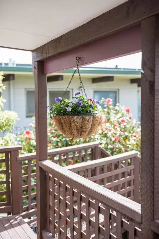 Balcony/Terrace in Strathern Motor Lodge