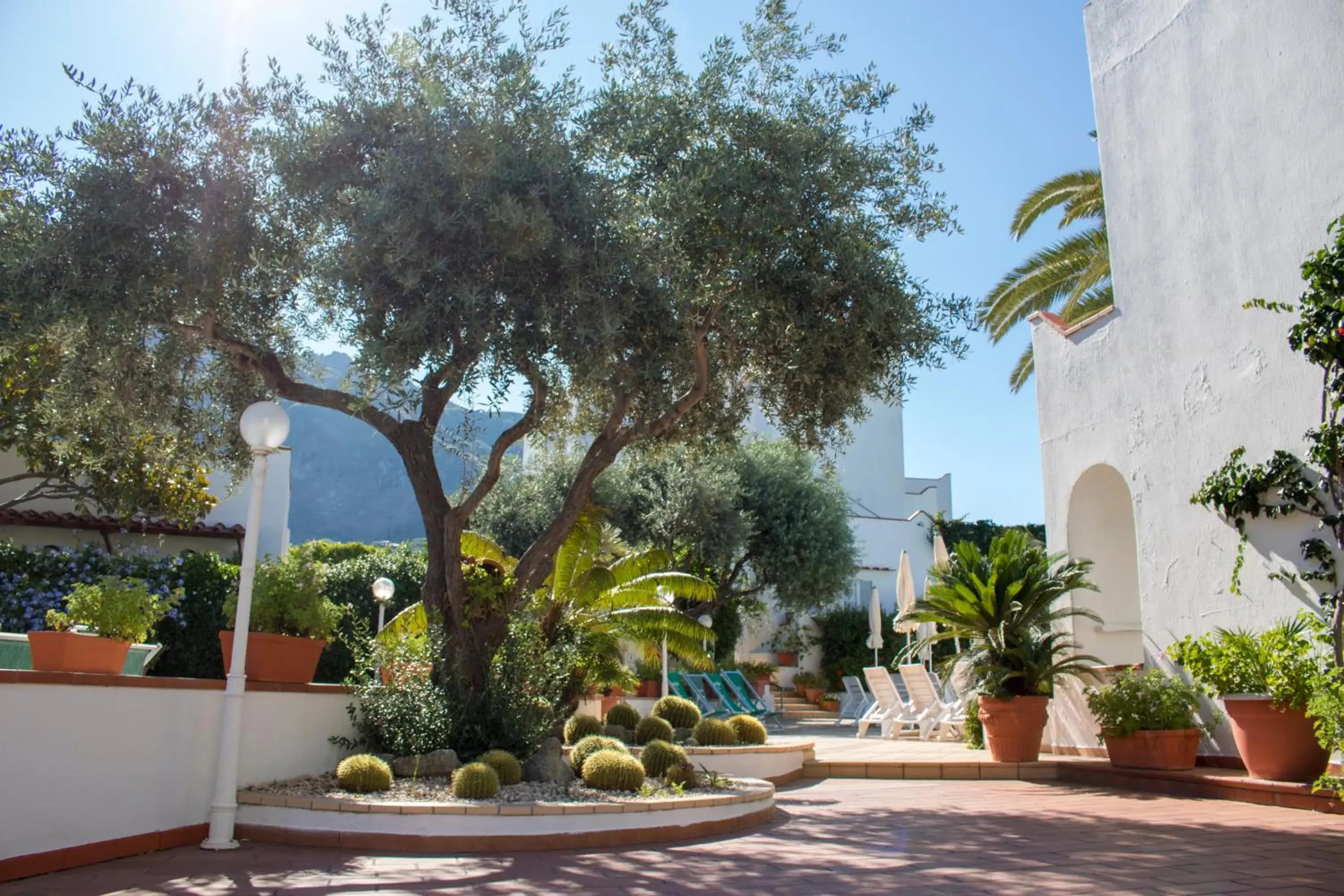 Garden in Hotel Terme Royal Palm