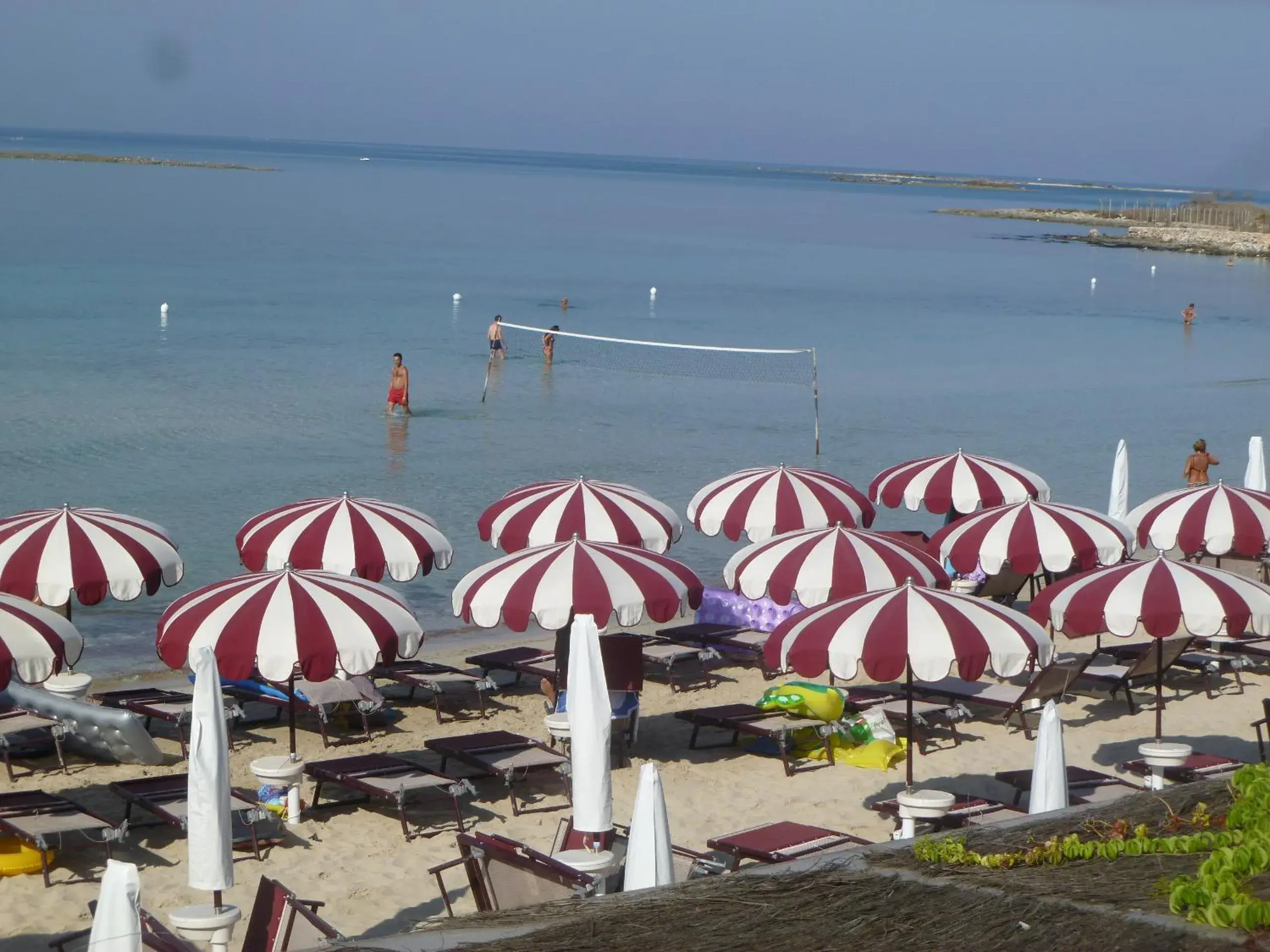 Beach in Conchiglia Azzurra Hotel & Beach