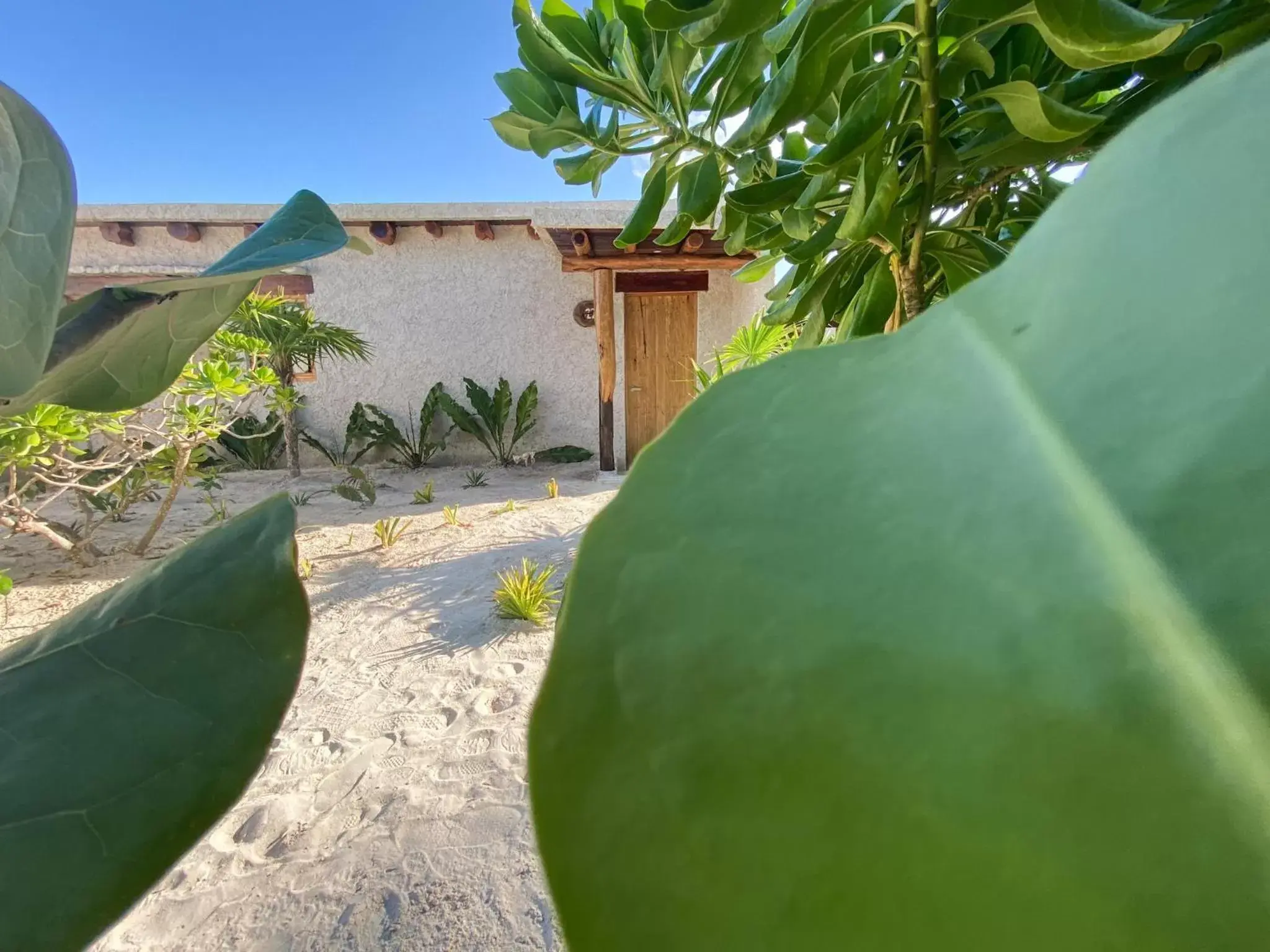 Hotel Poc Na Tulum