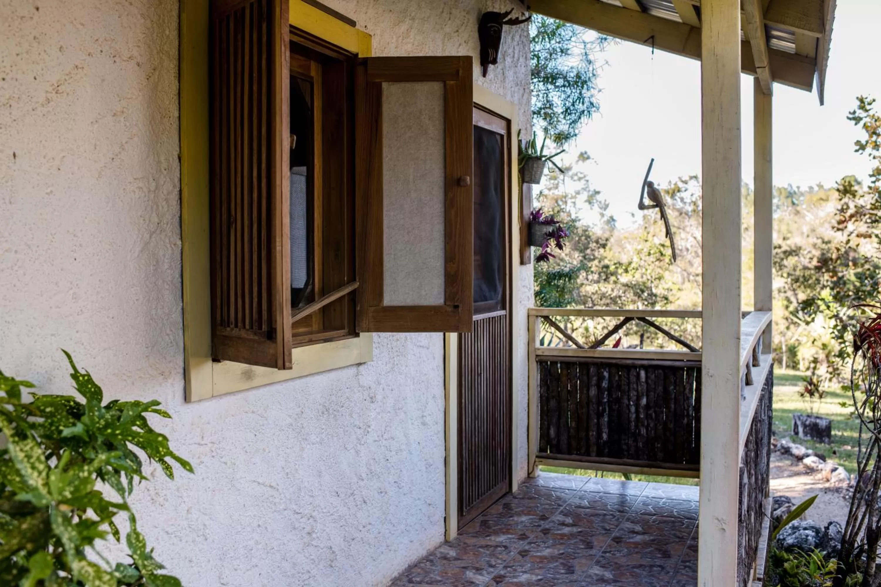 View (from property/room) in Pine Ridge Lodge