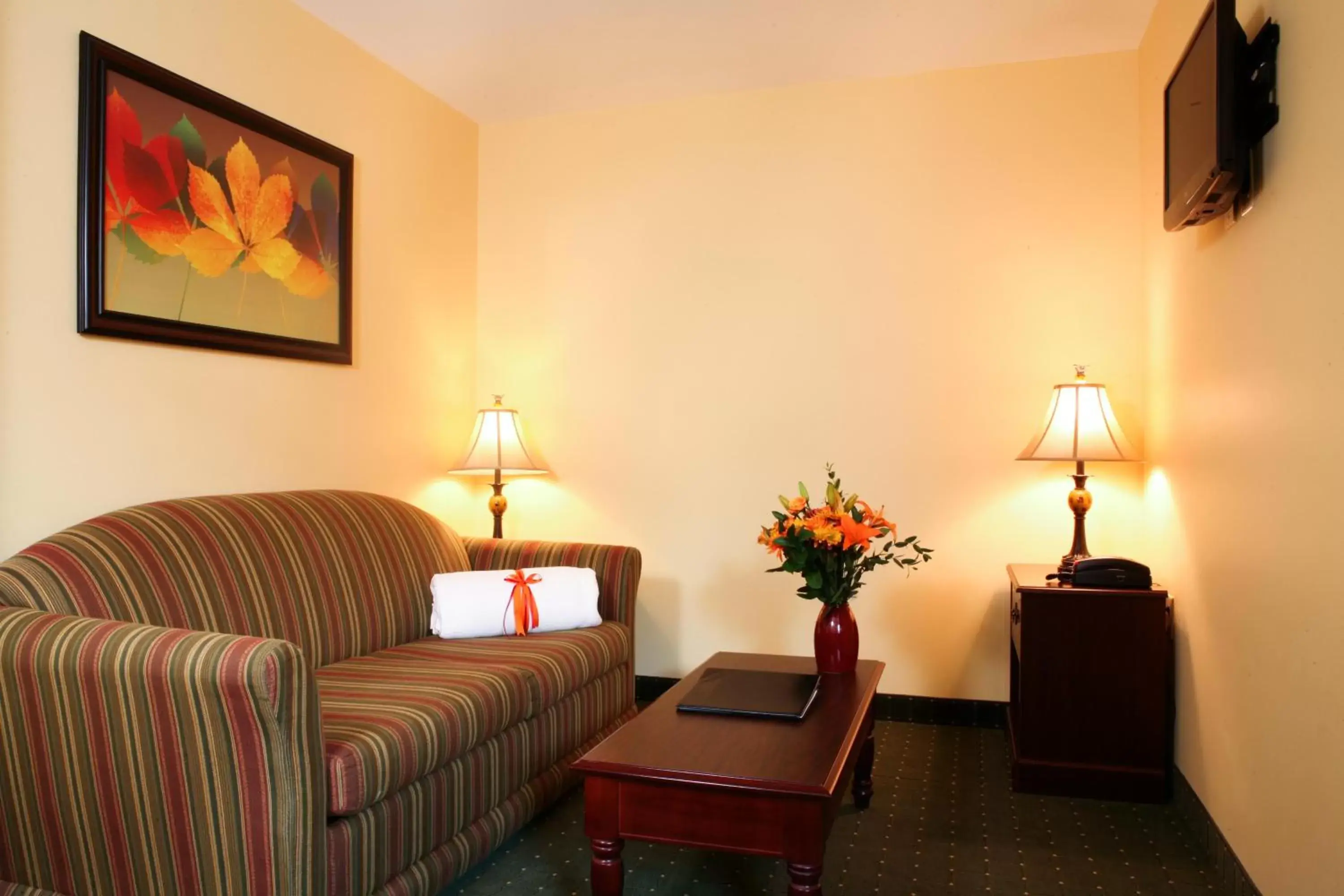 Living room, Seating Area in Main Street Inn Blacksburg