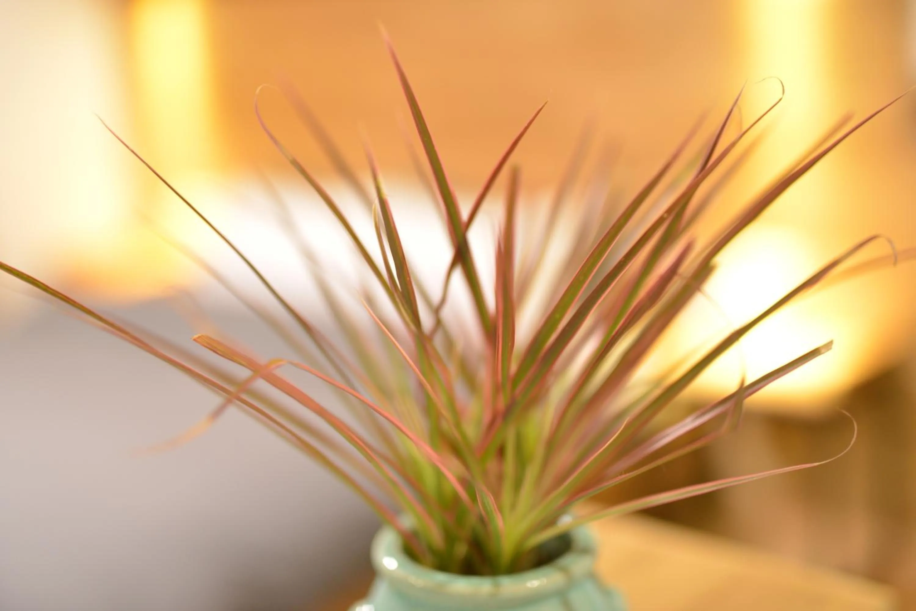 Other in Rock&Wood Cozy House