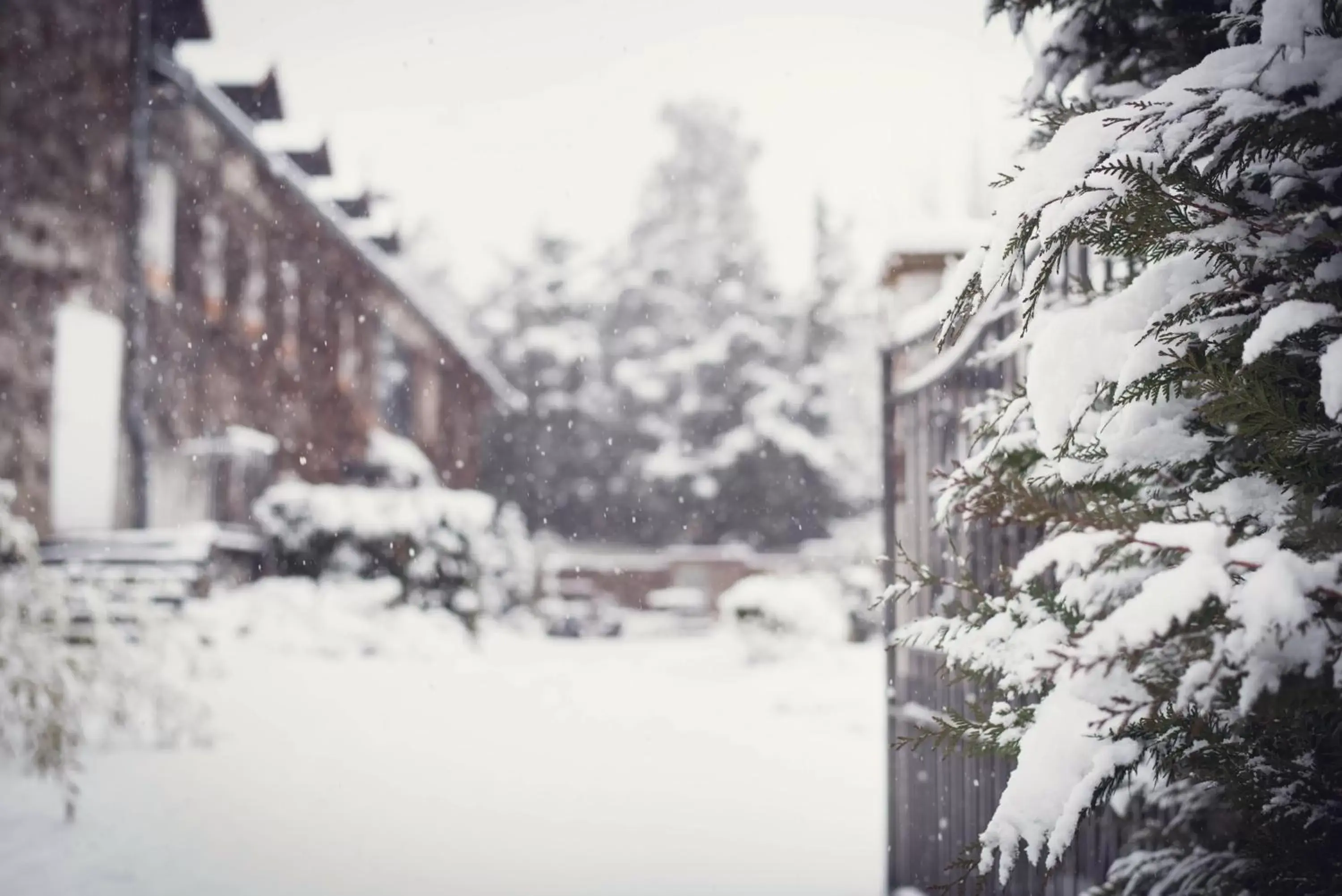 Property building, Winter in Les Olivades