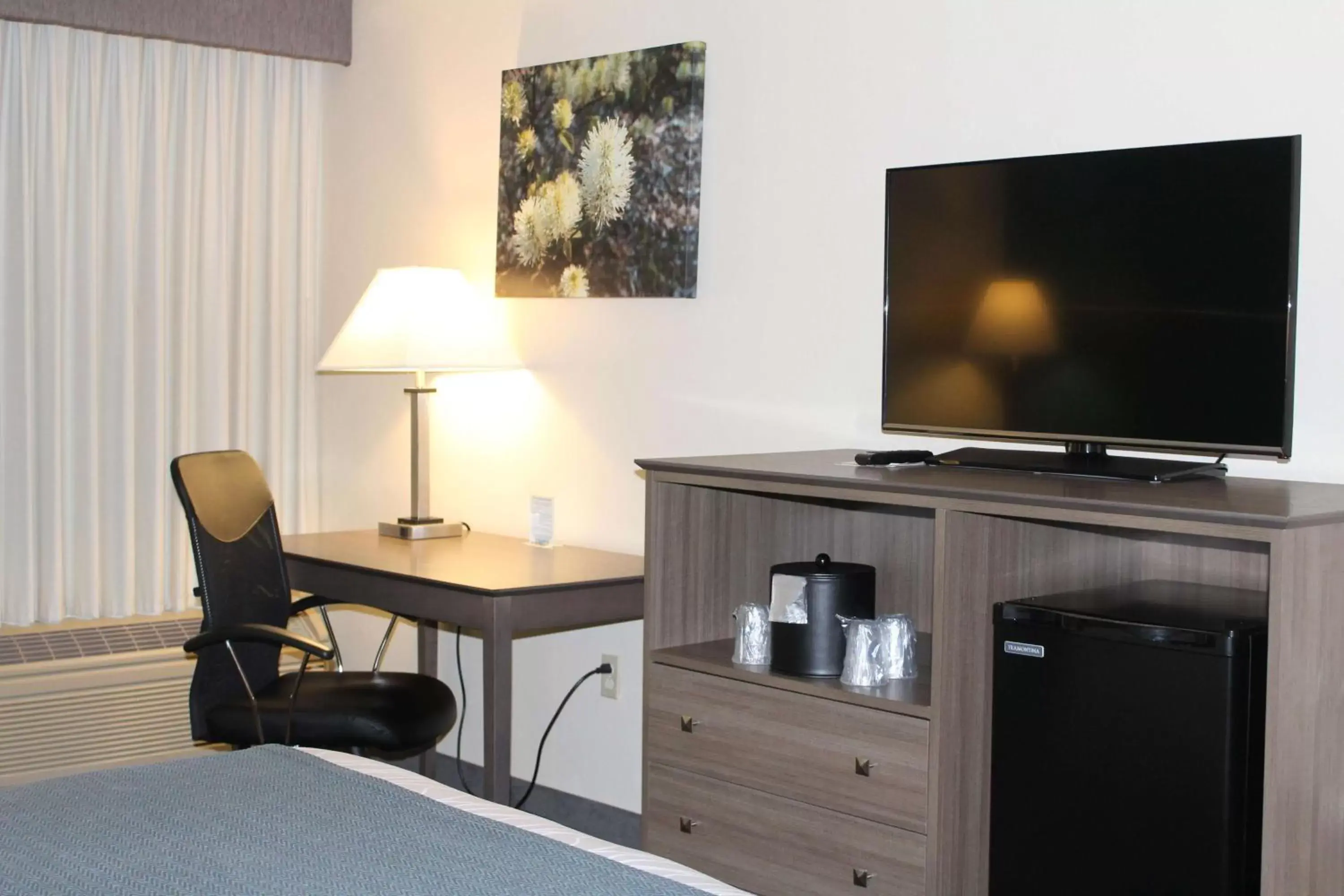 Photo of the whole room, TV/Entertainment Center in Best Western Plus Yadkin Valley Inn & Suites