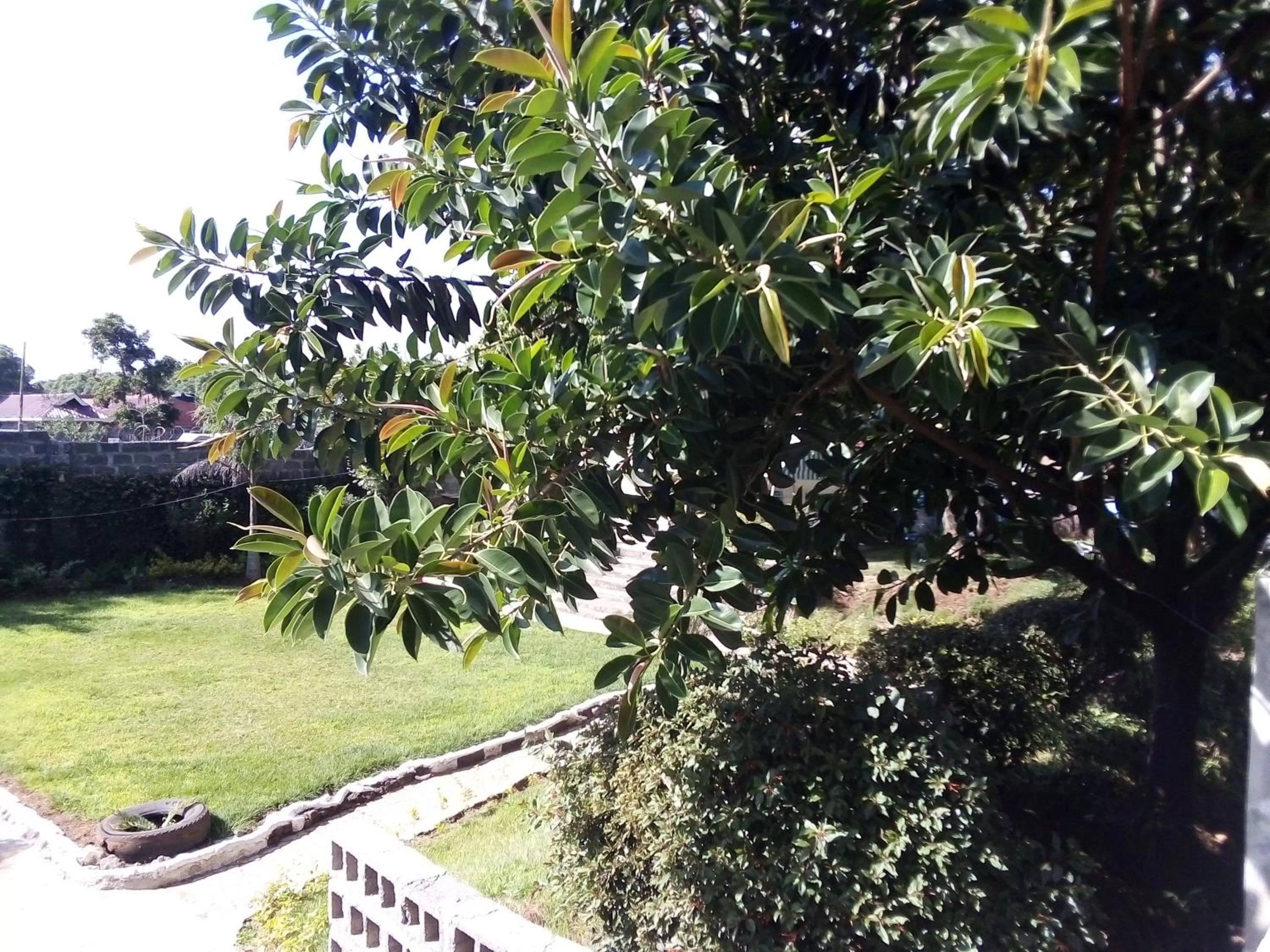 Garden in Vienna Woods Hotel Nakuru