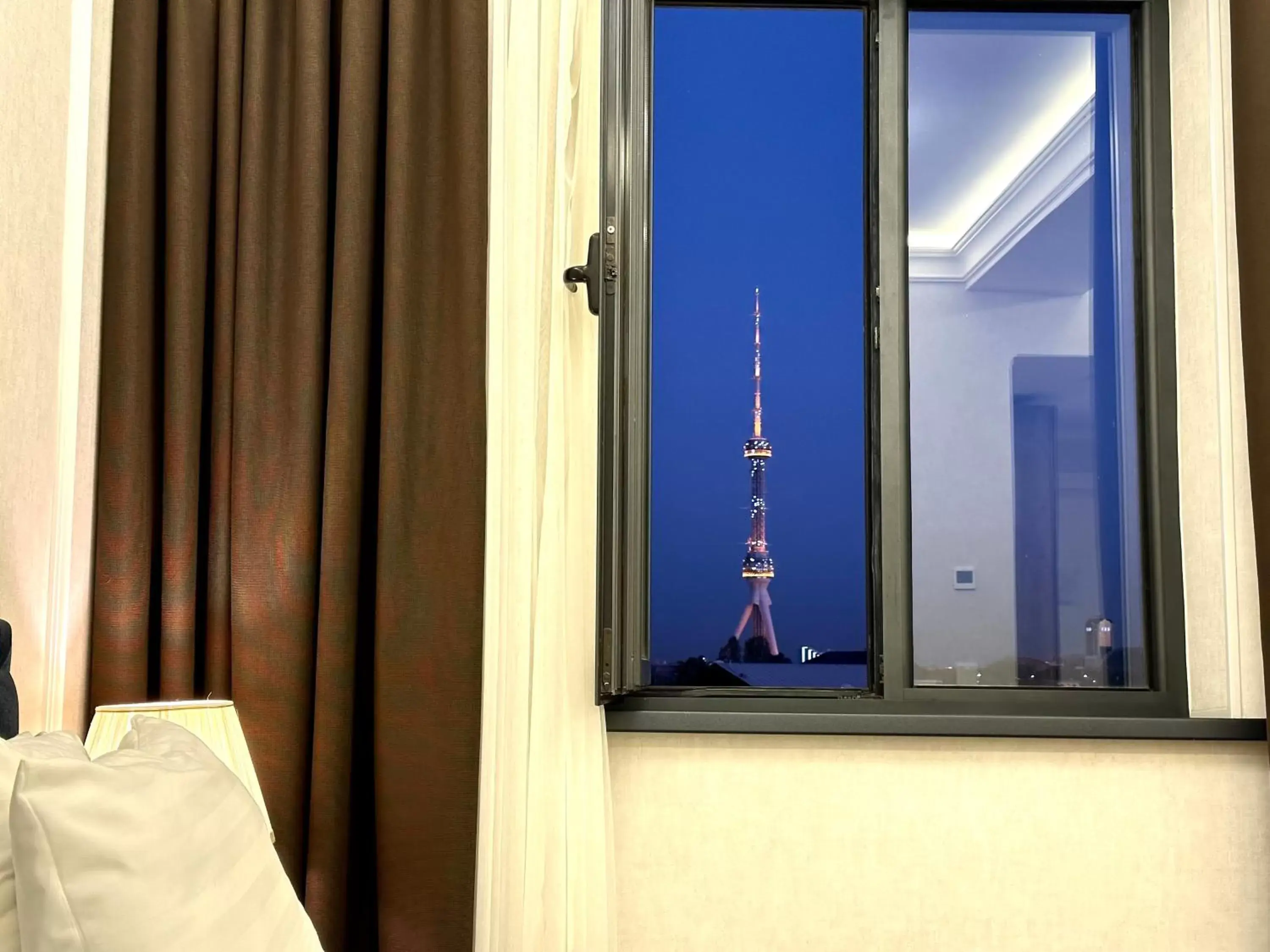 View (from property/room) in Garnet Hotel Tashkent View (from property/room) in Garnet Hotel Tashkent