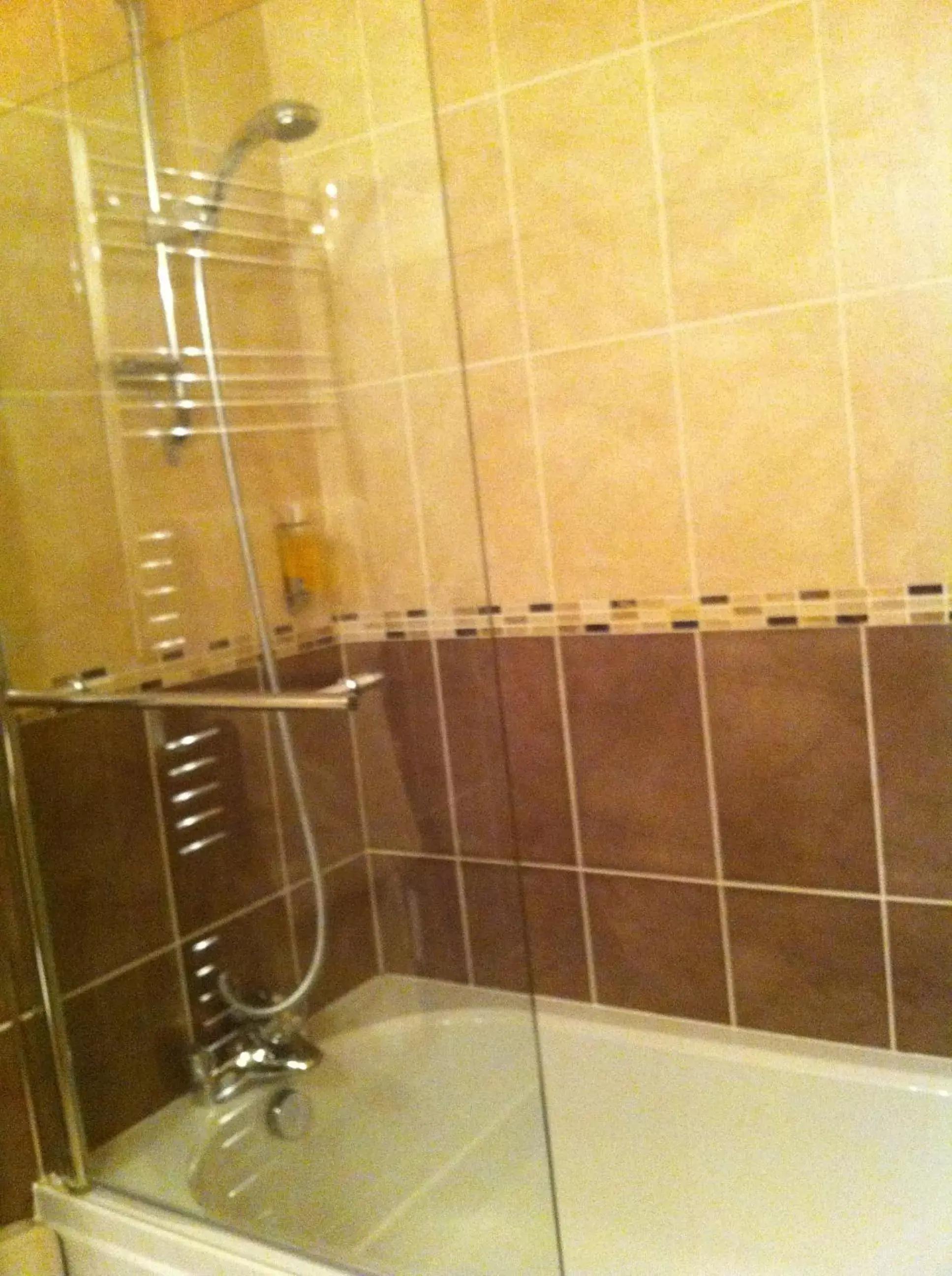 Shower, Bathroom in Millfields Hotel