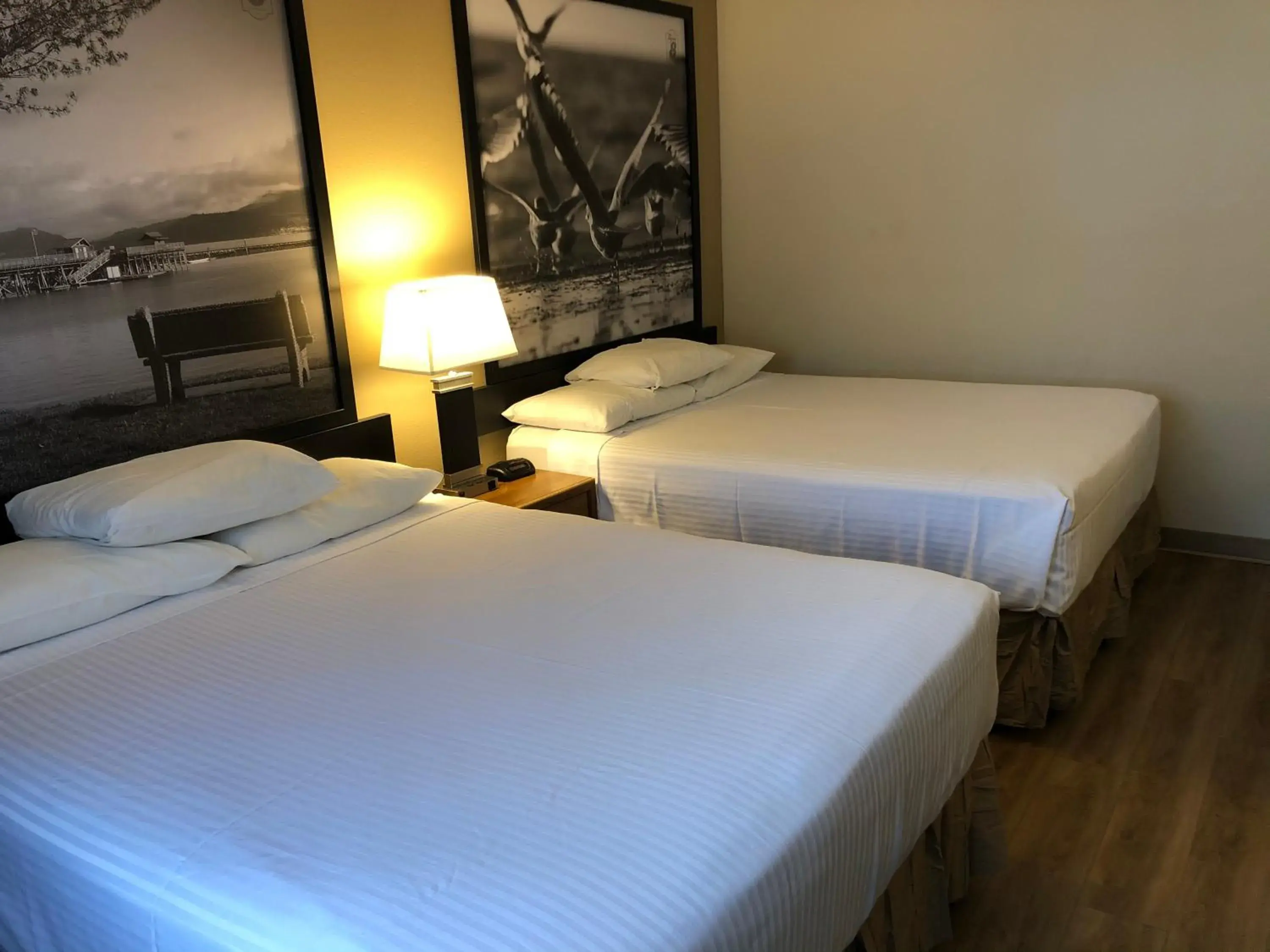 Bed in Super 8 by Wyndham Salmon Arm