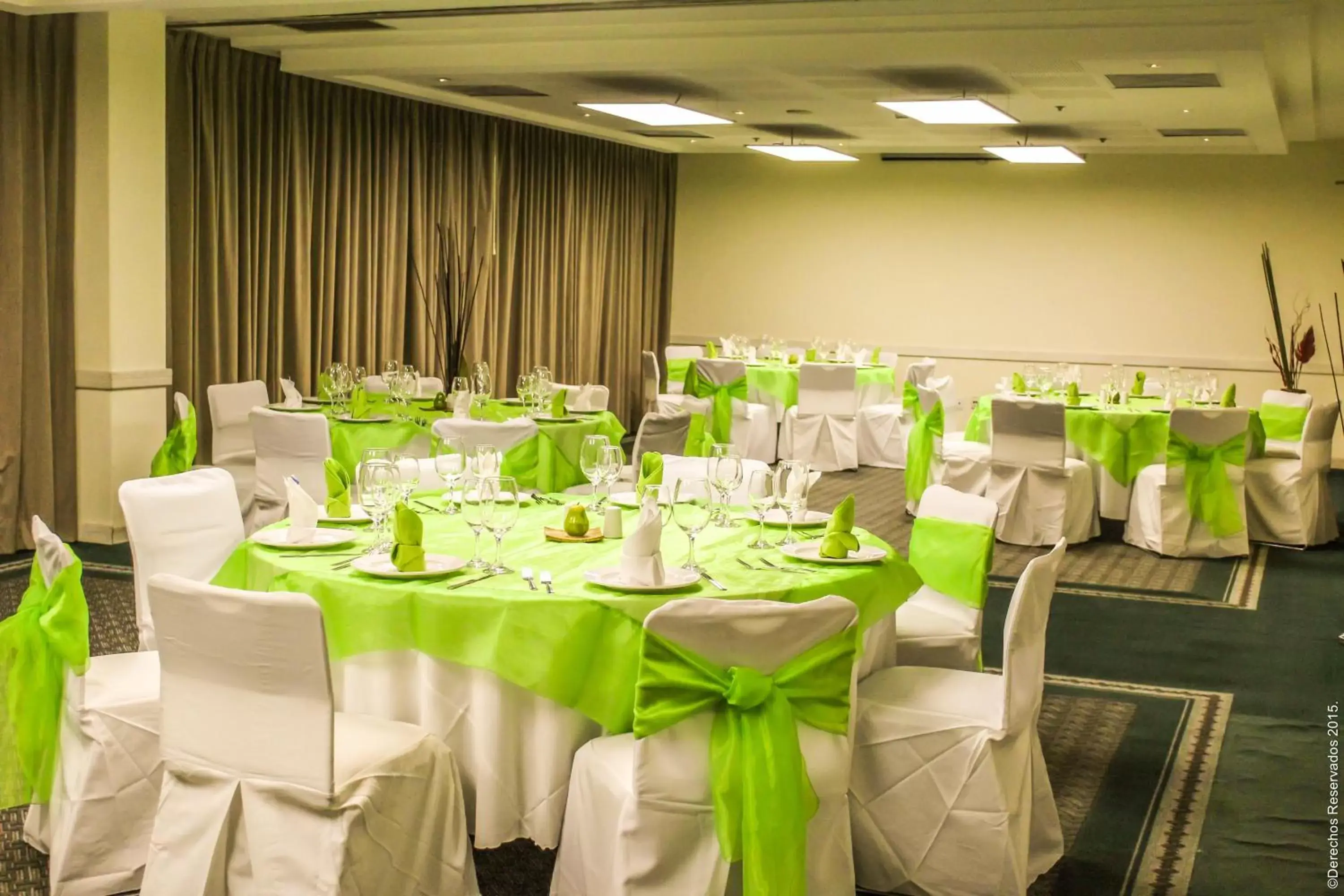 Banquet/Function facilities, Banquet Facilities in Holiday Inn Leon, an IHG Hotel