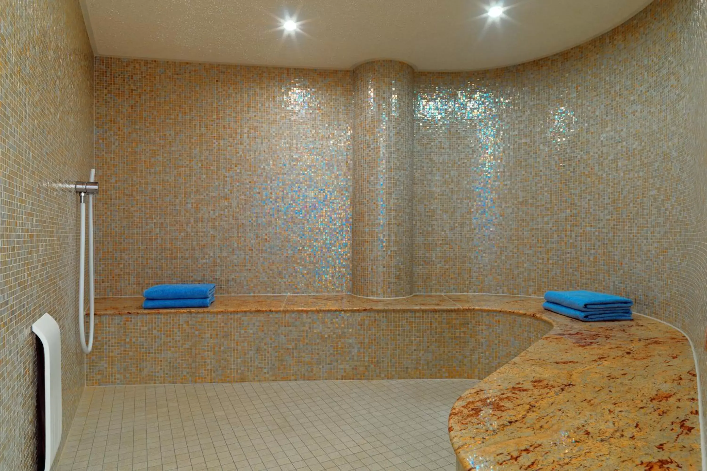 Spa and wellness centre/facilities, Bathroom in Sheraton Carlton Nuernberg