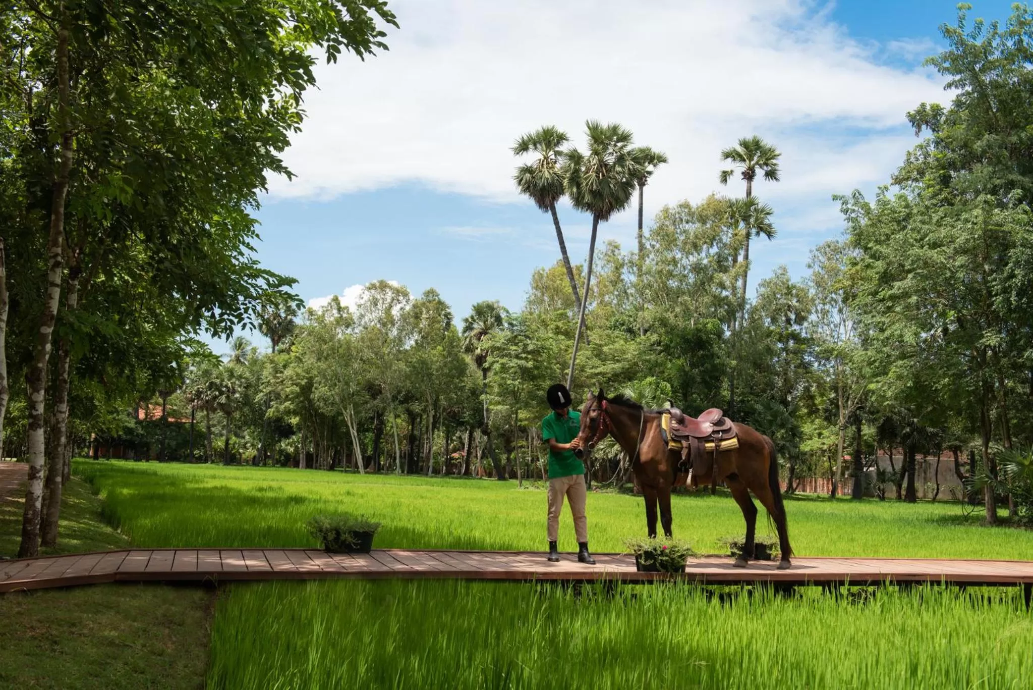 Horse-riding in Mane Family Vacation