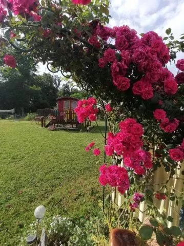Garden in La roulotte des Trois Arbres