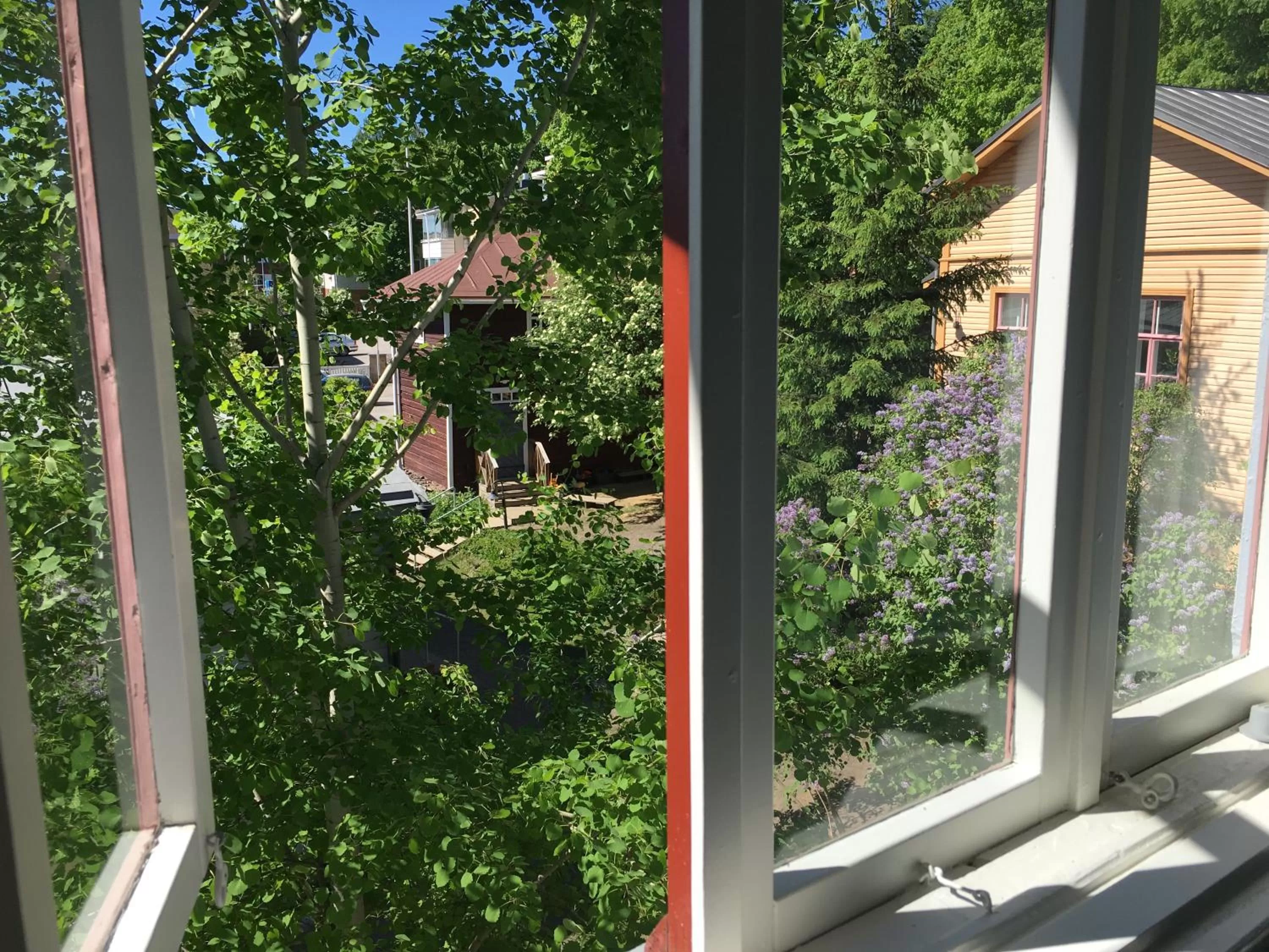 Summer in Cafe-Restaurant & Hotel Saima