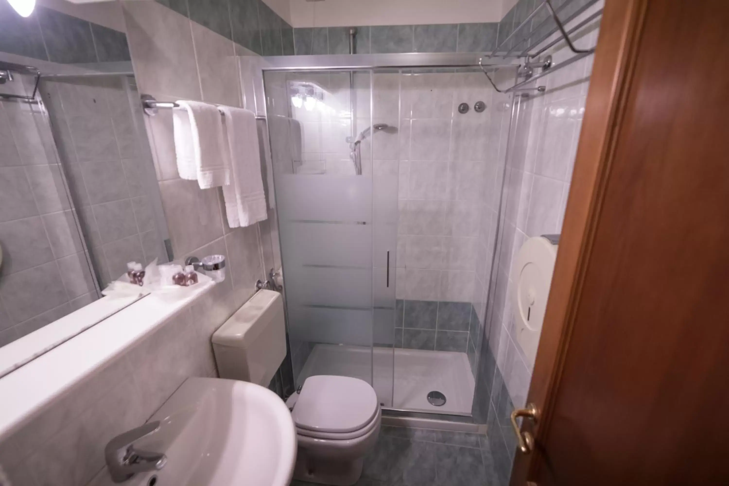 Shower, Bathroom in Hotel Maxim Axial