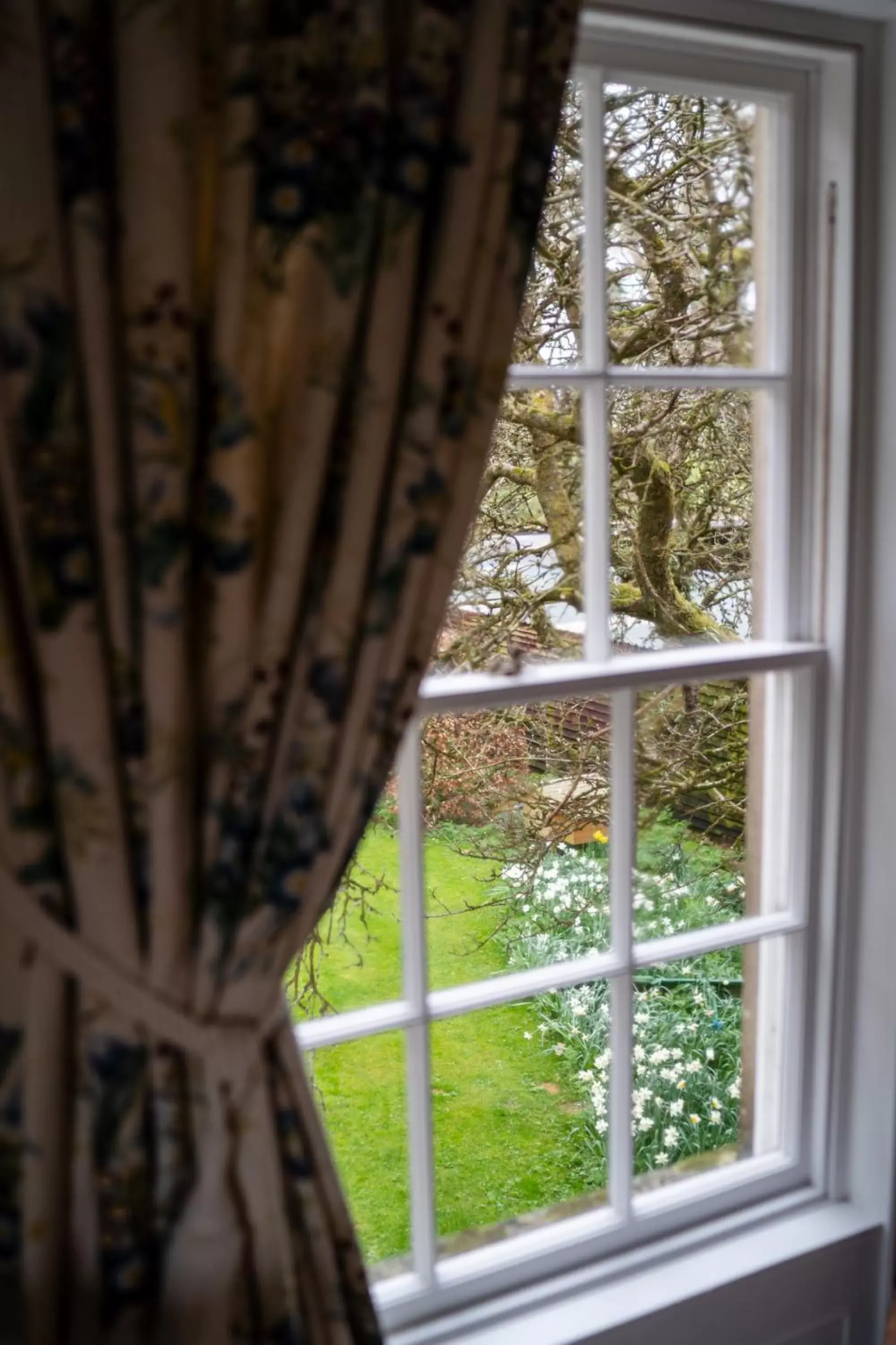 View (from property/room) in Ballymote Country House