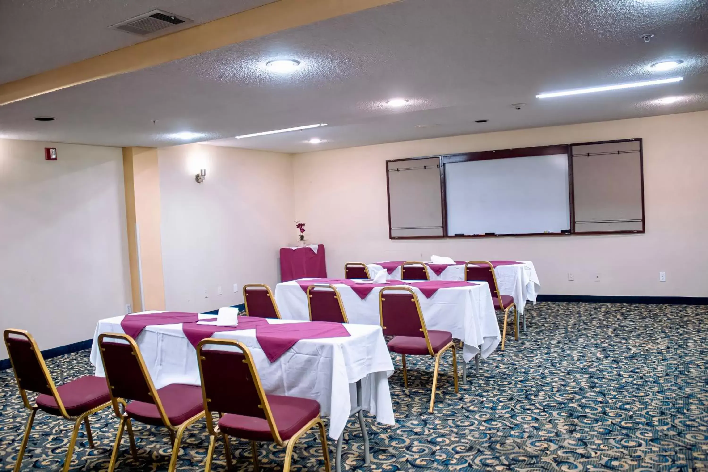 Meeting/conference room in Quality Inn & Suites DFW Airport South