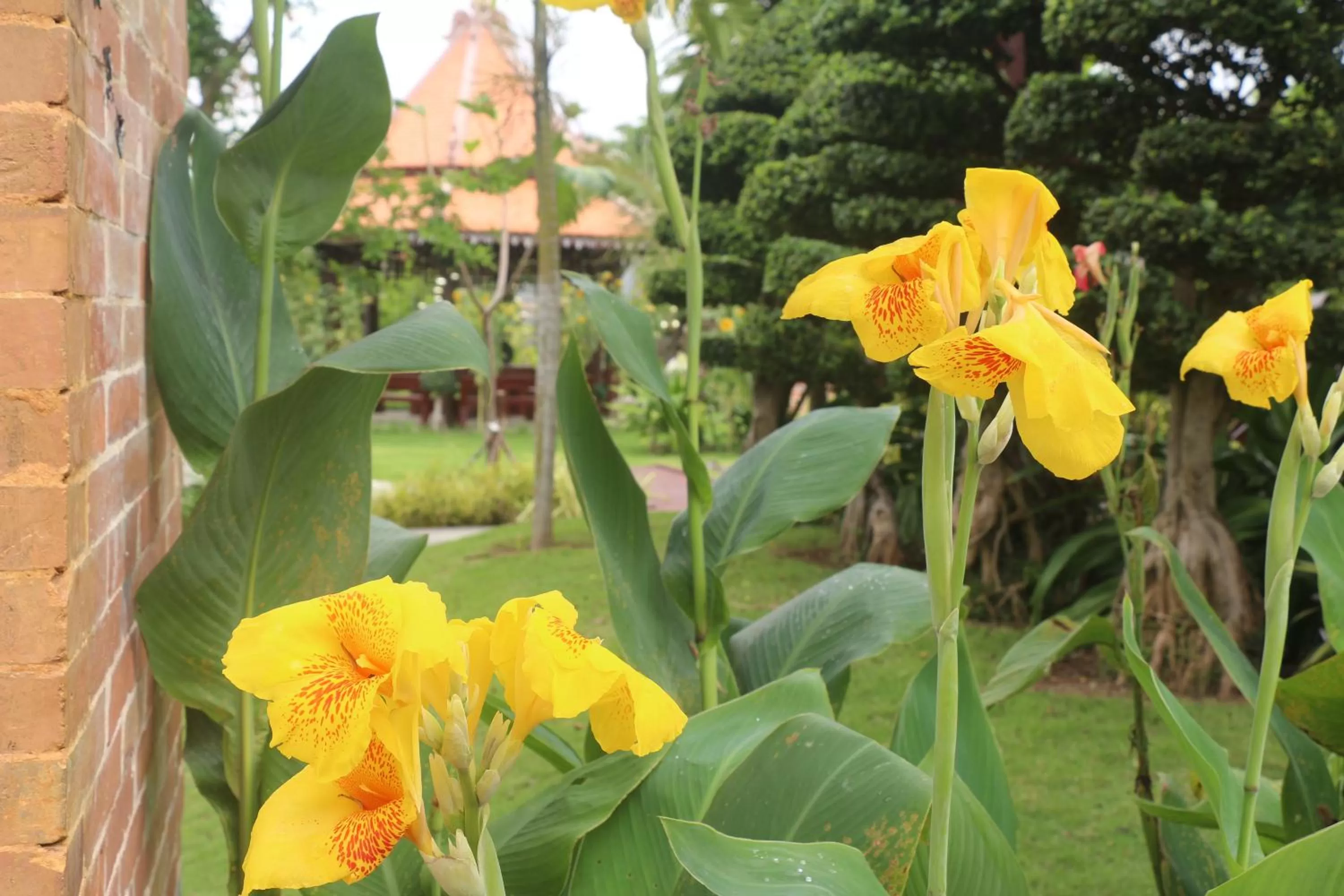 Garden view in Try Palace Resort Kep