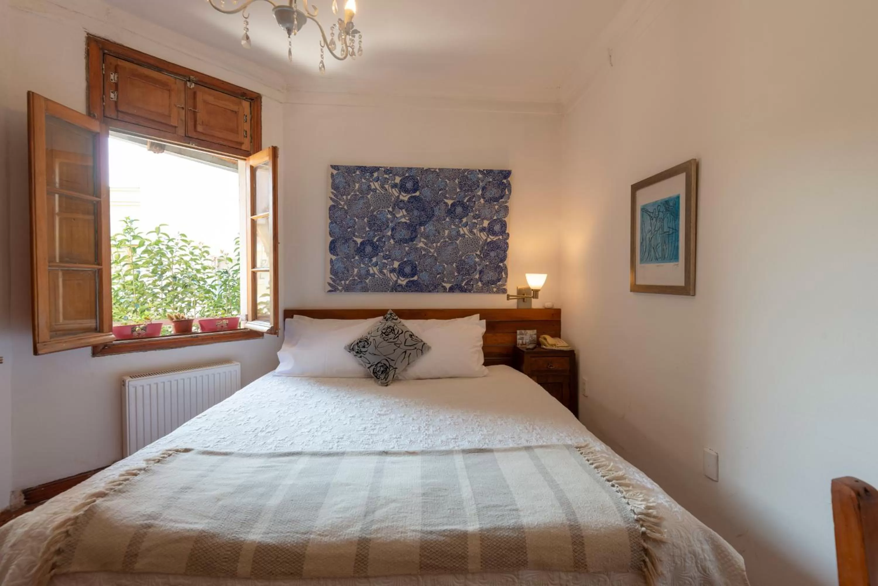 Bed in Providencia Bed & Breakfast