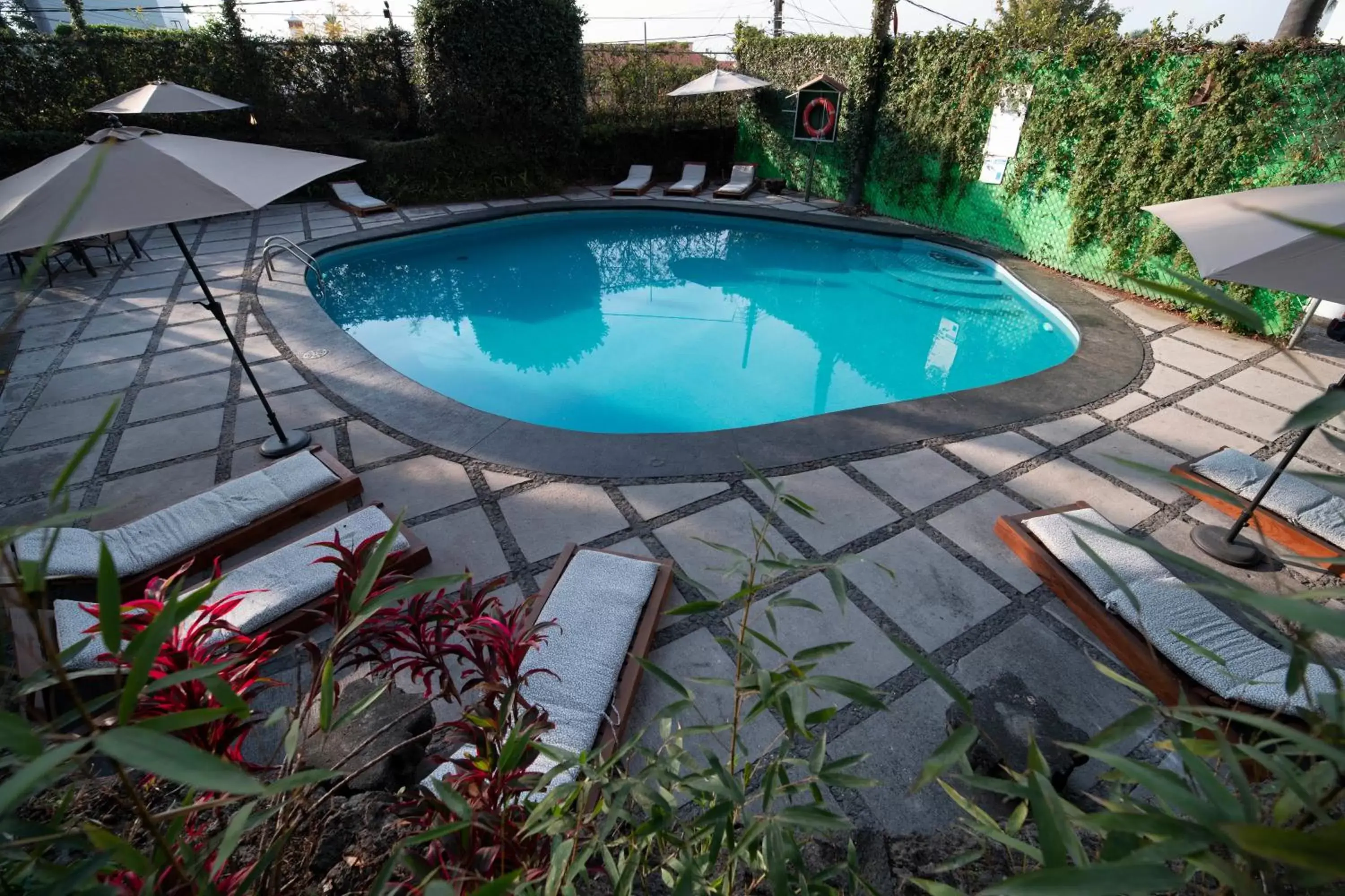 Pool view, Swimming Pool in Hotel Grand Vista Cuernavaca