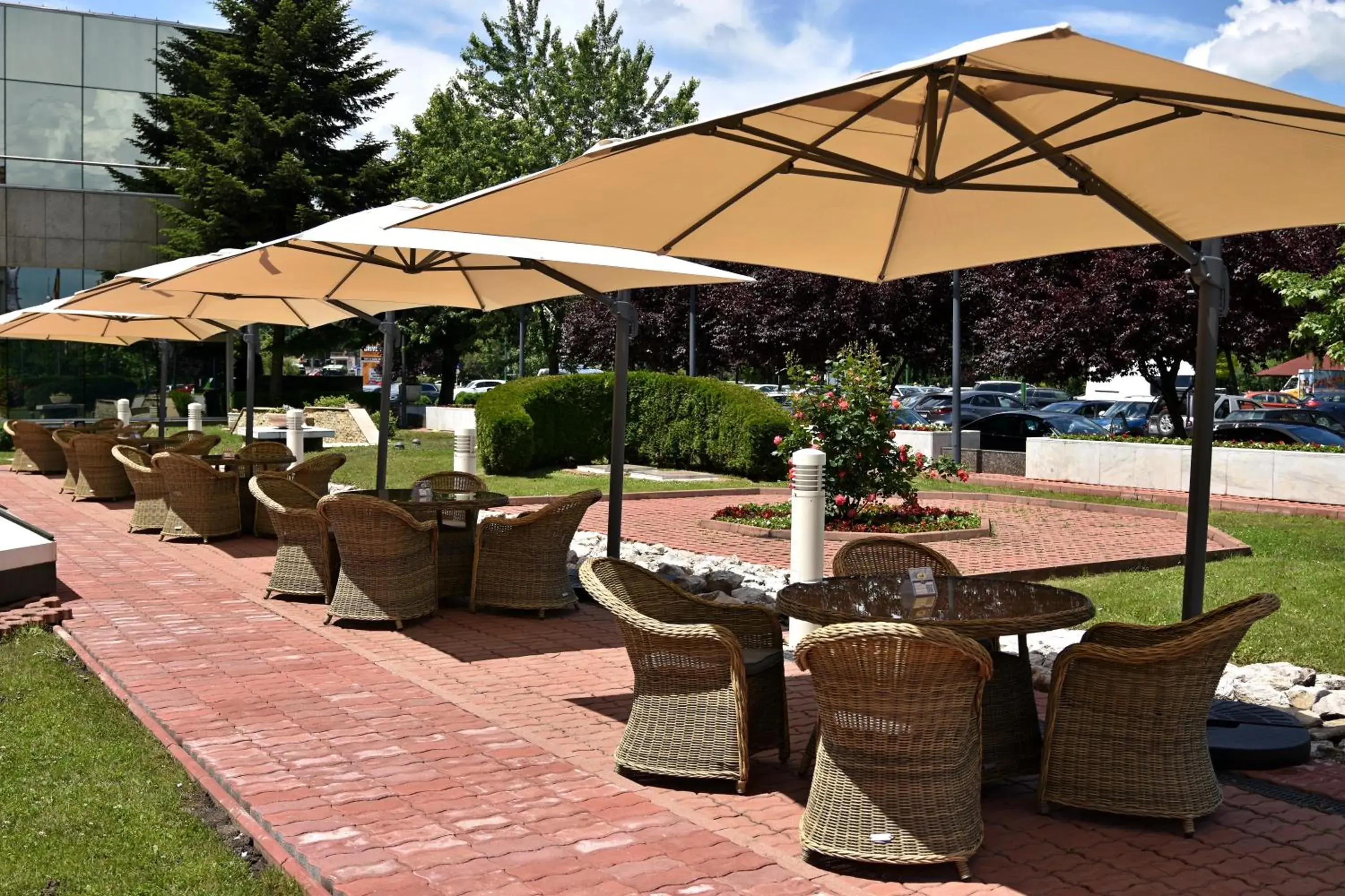 Garden in Hotel Aro Palace