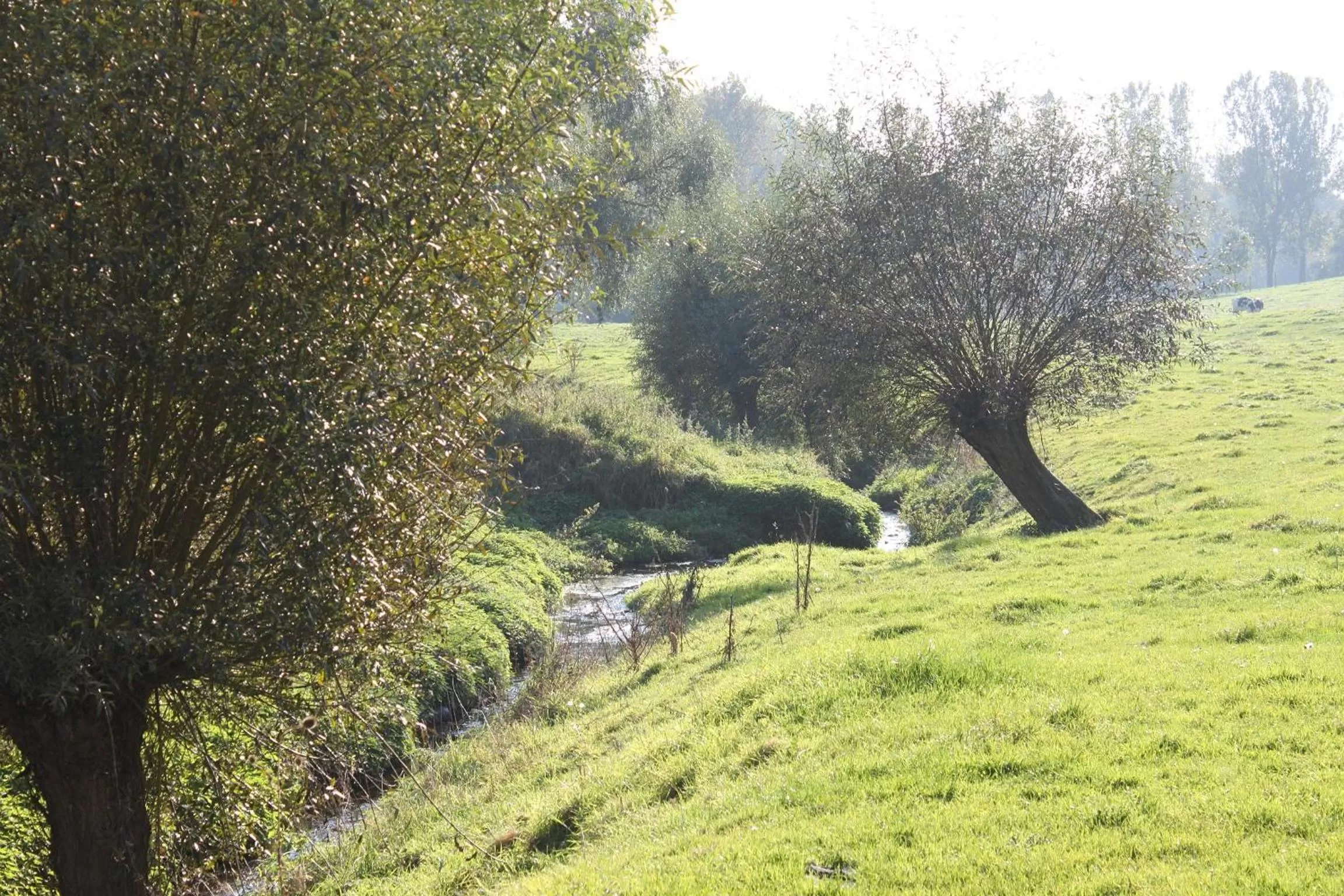 Area and facilities in Bed en Breakfast VerdeSud