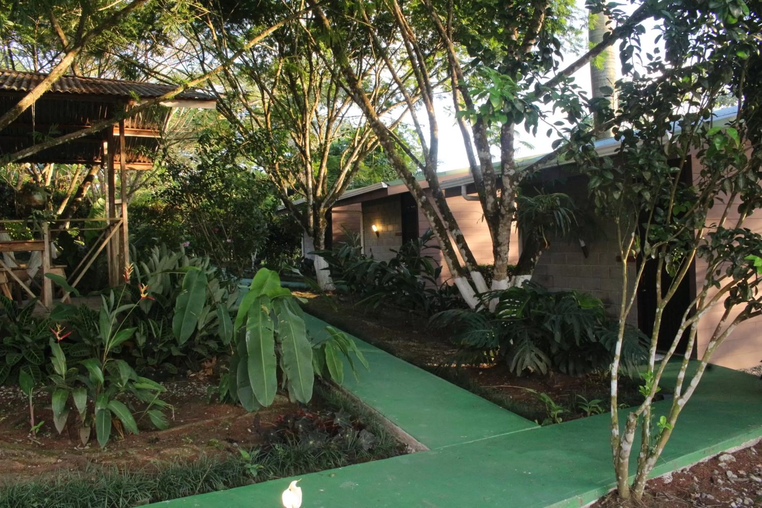 Garden in Cabañas Green House