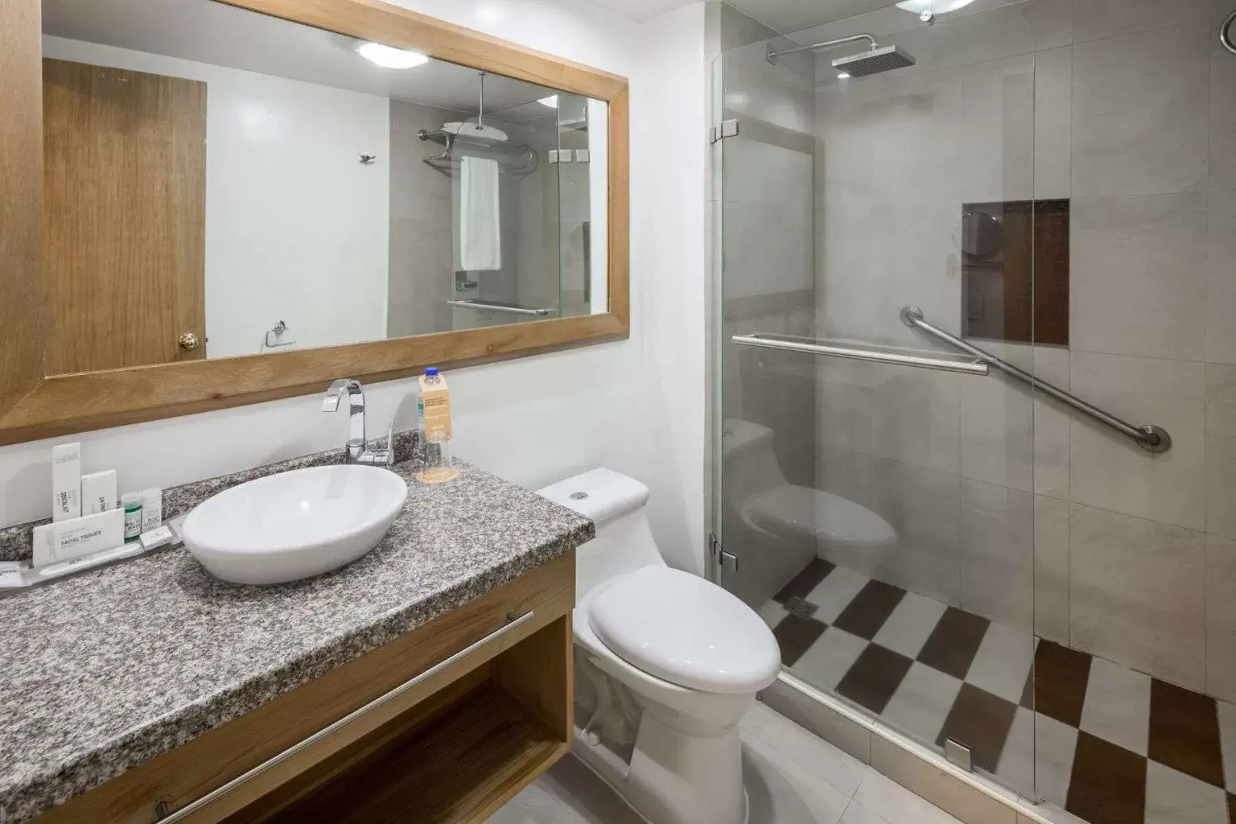 Toilet, Bathroom in Wyndham Garden Quito