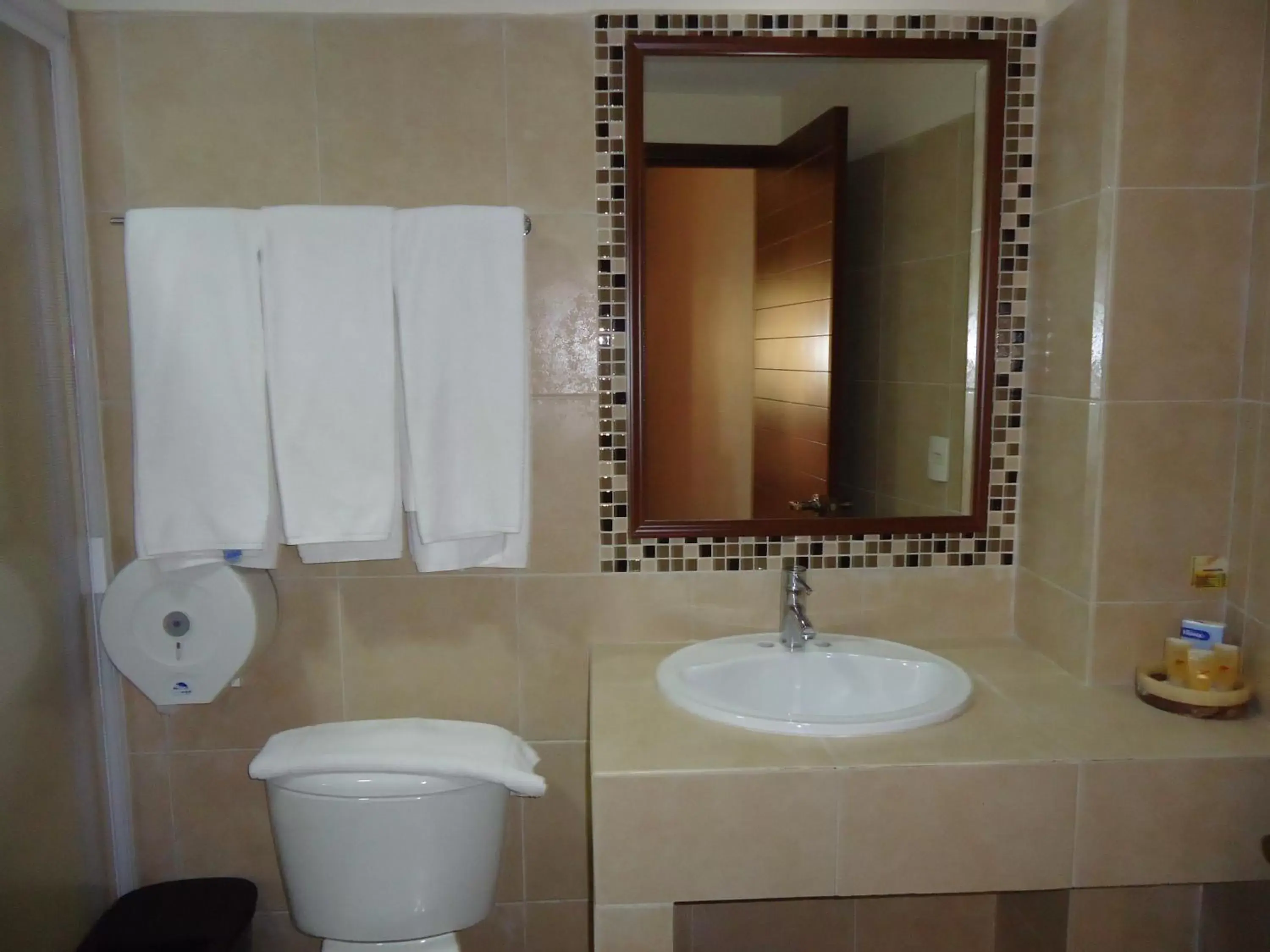 Bathroom in Hotel Plaza San Carlos