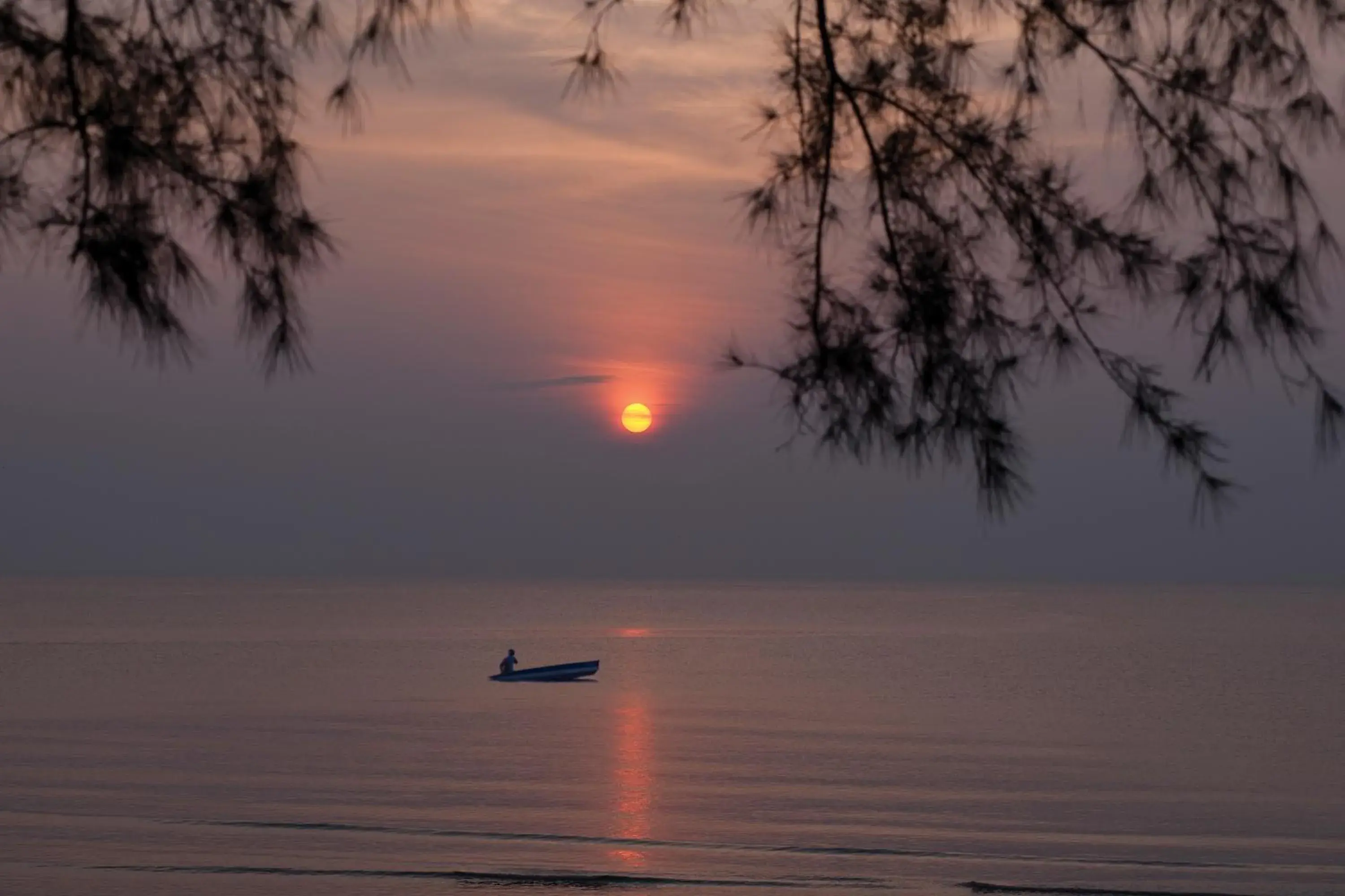 View (from property/room) in The Qamar Paka Resort