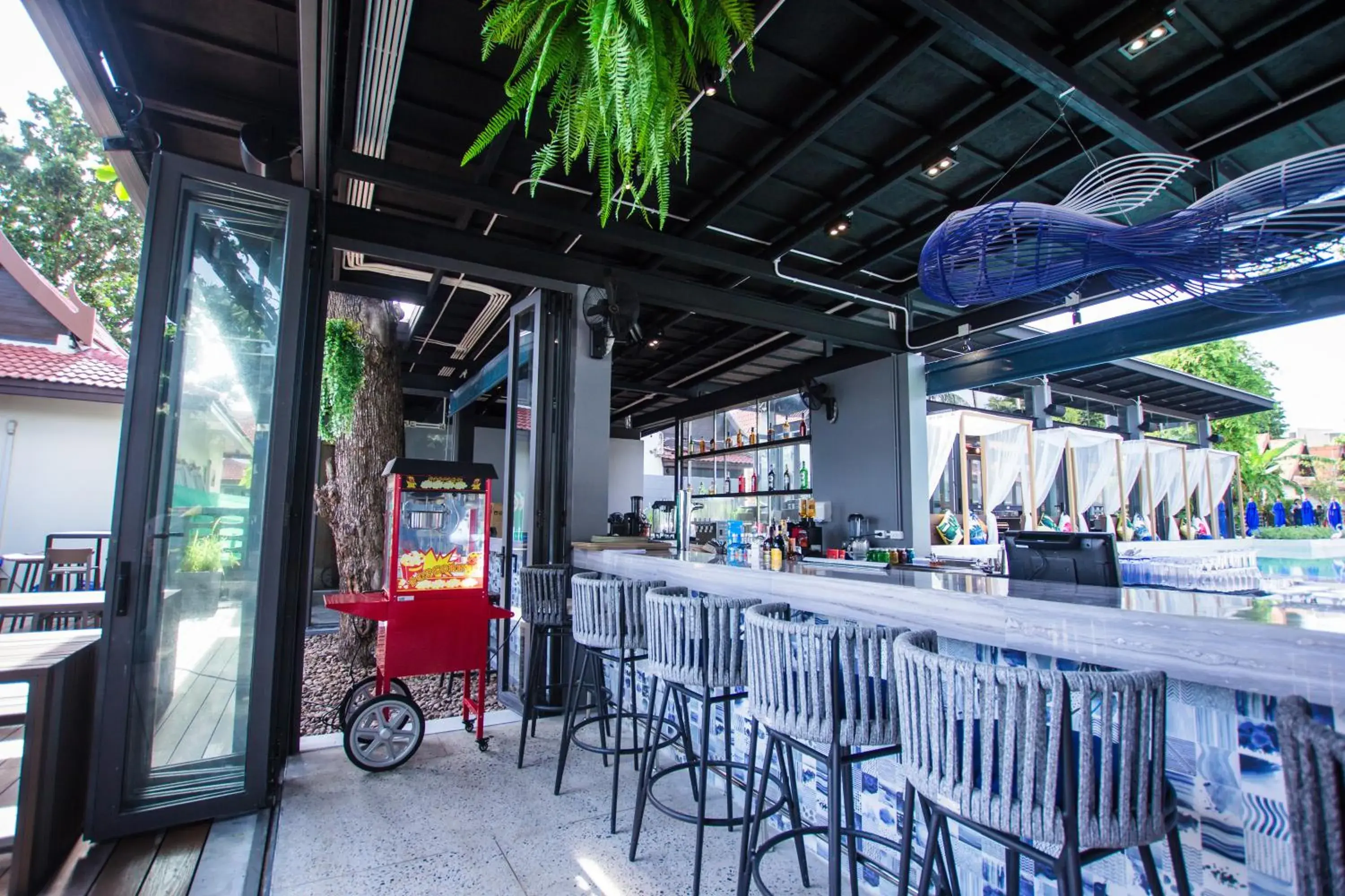 Drinks, Lounge/Bar in Lub d Koh Samui Chaweng Beach - SHA Extra Plus