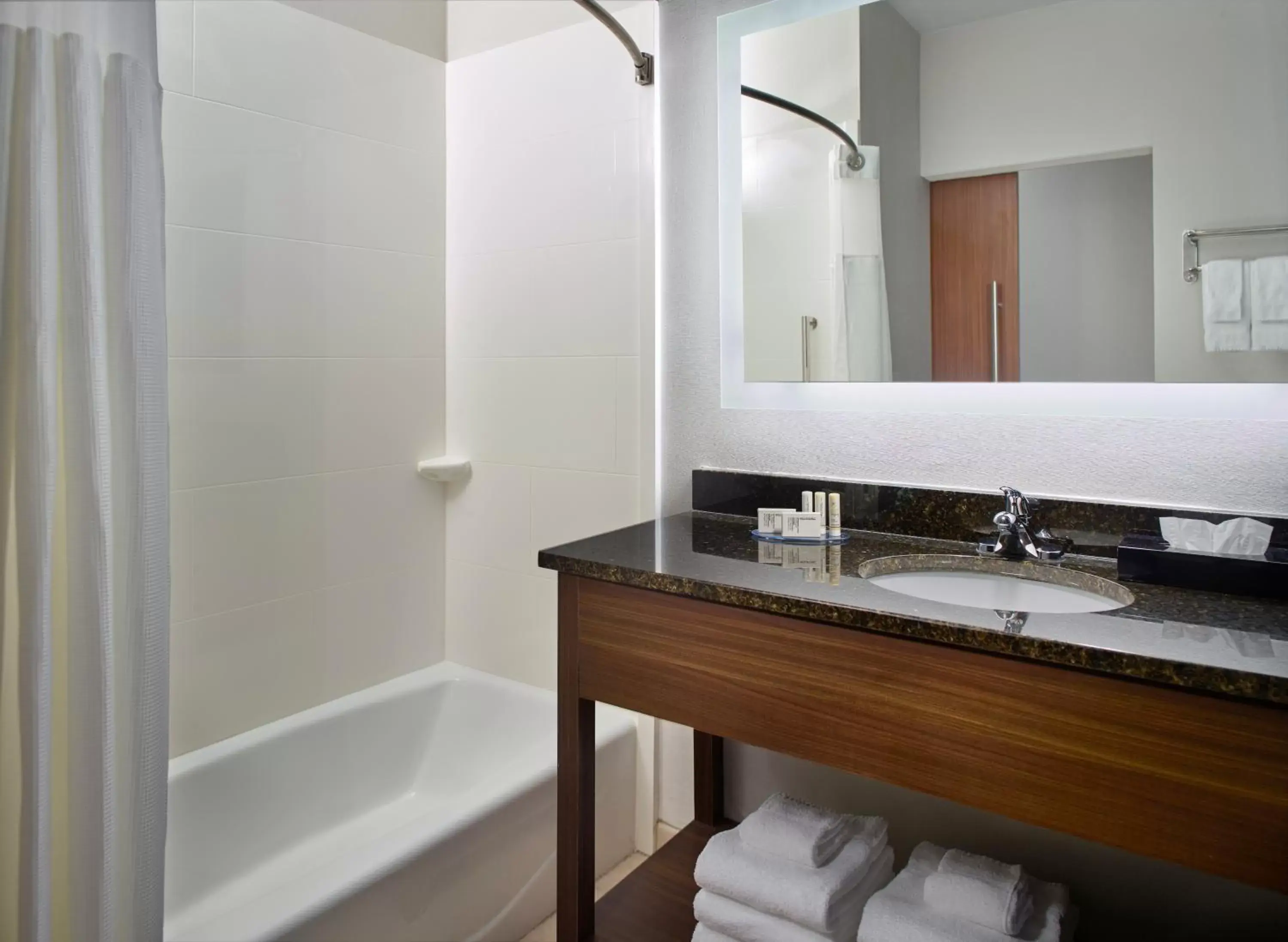 Bathroom in Fairfield Inn & Suites by Marriott Asheville Airport/Fletcher
