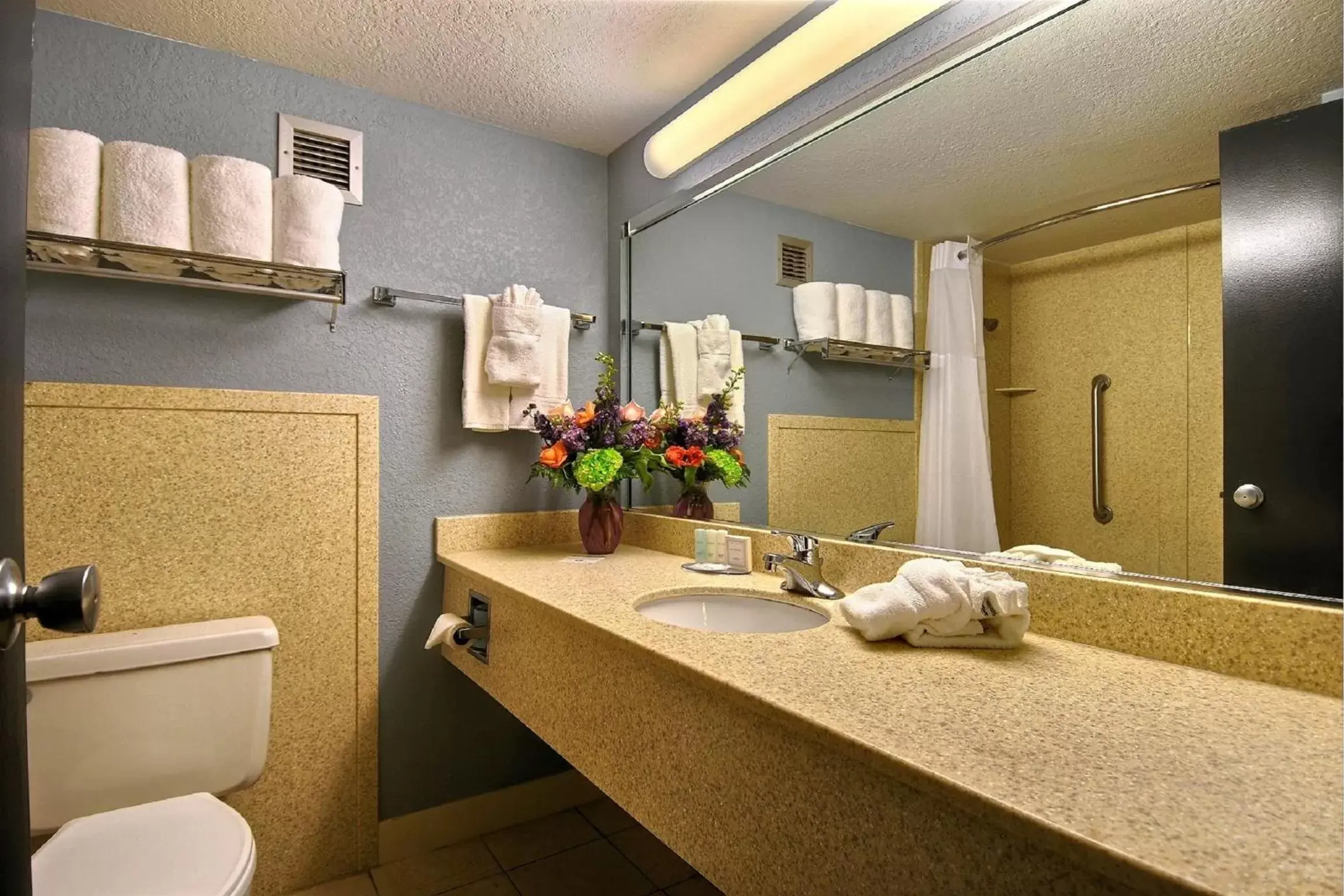 Bathroom in Travelodge by Wyndham Memphis Airport/Graceland