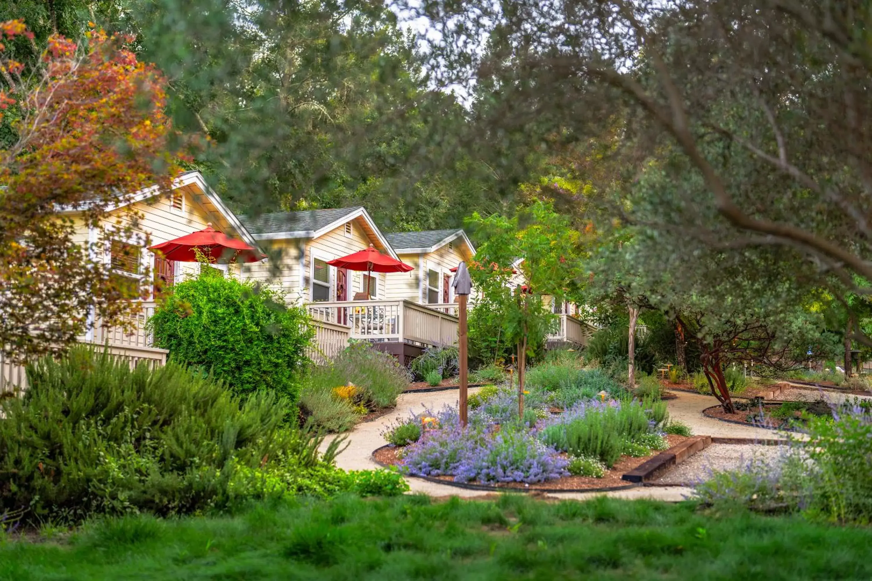 Garden, Property Building in Aurora Park Cottages