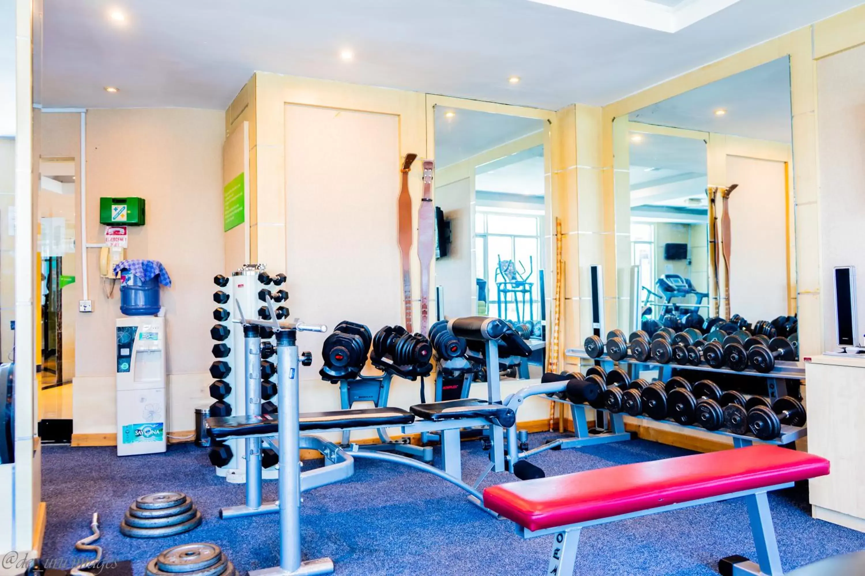 Fitness centre/facilities, Fitness Center/Facilities in Holiday Inn Dar Es Salaam, an IHG Hotel