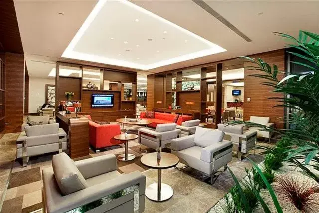 TV and multimedia, Lounge/Bar in Hilton Garden Inn Konya