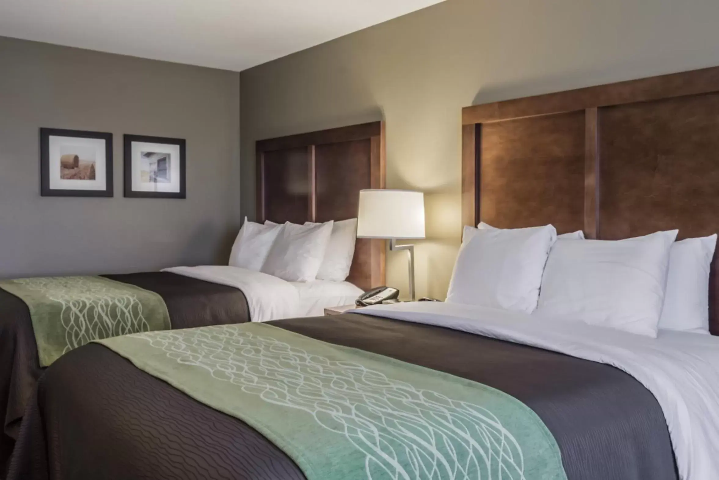 Bedroom, Bed in Comfort Inn & Suites Avera Southwest