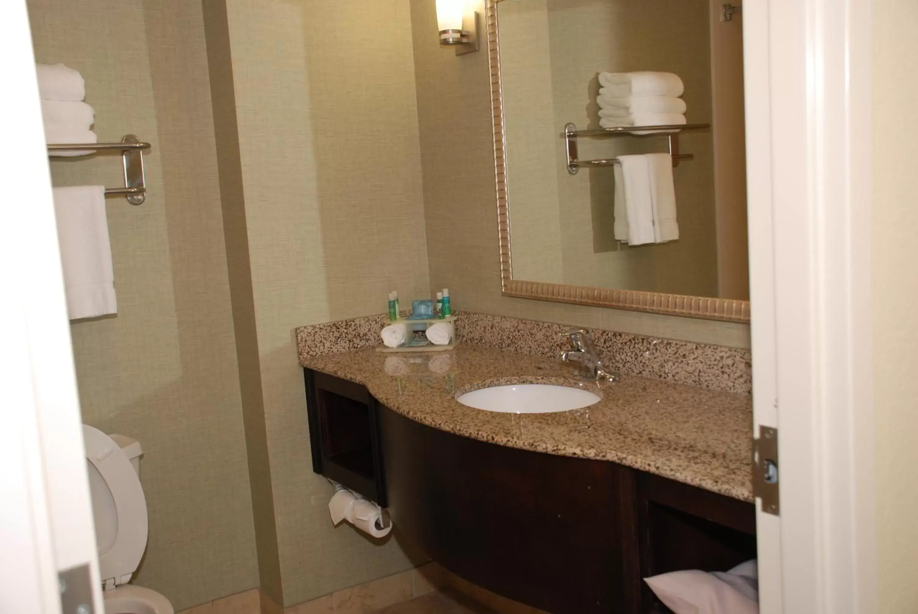 Photo of the whole room, Bathroom in Holiday Inn Express & Suites Covington, an IHG Hotel