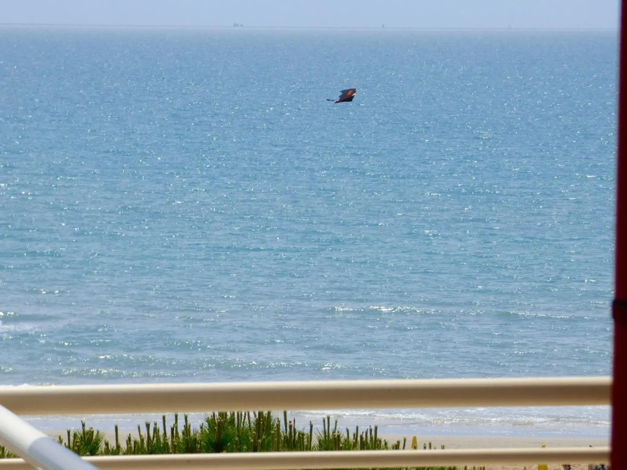 Sea view, Natural Landscape in Mon Repos