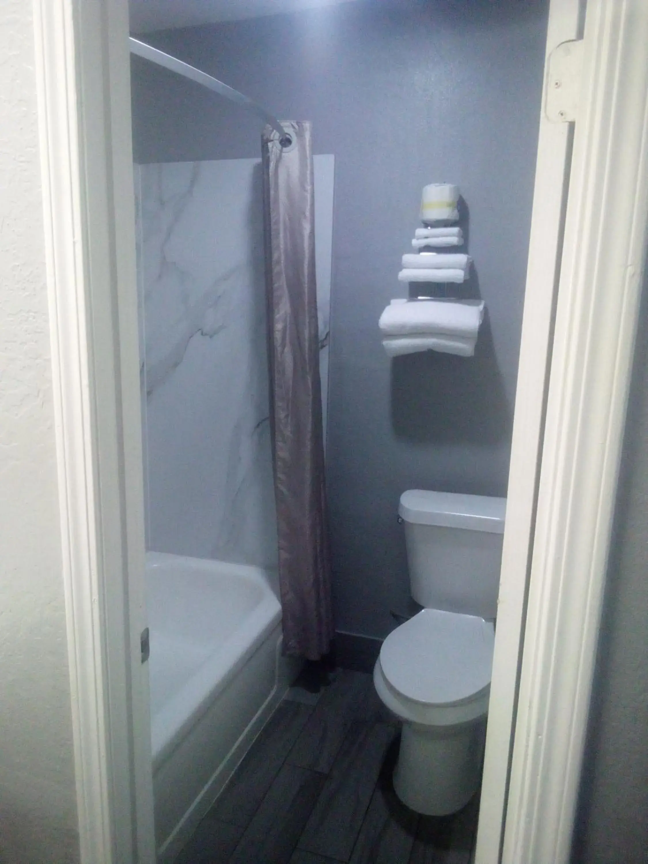 Shower, Bathroom in Coachman's Inn & Suites
