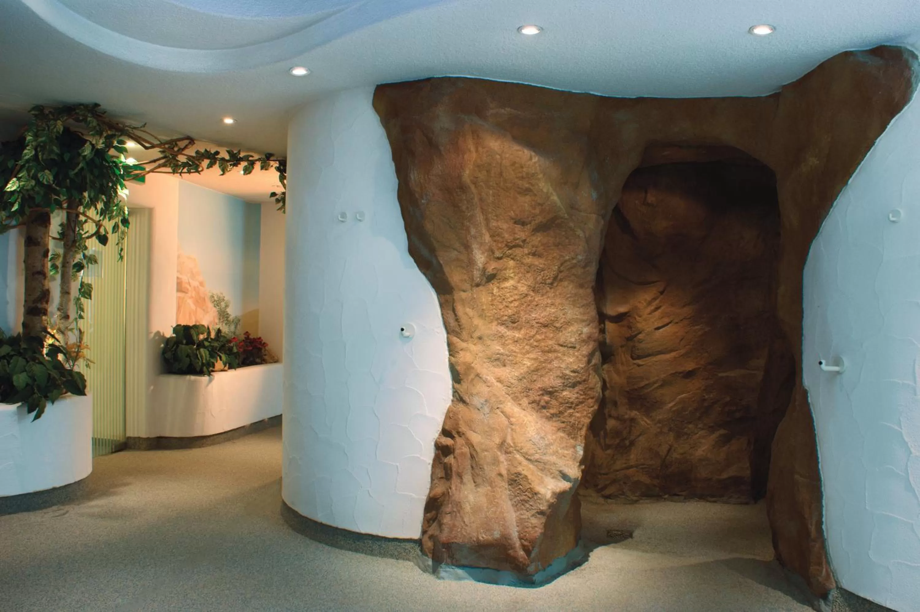 Spa and wellness centre/facilities in Hotel Fortuna