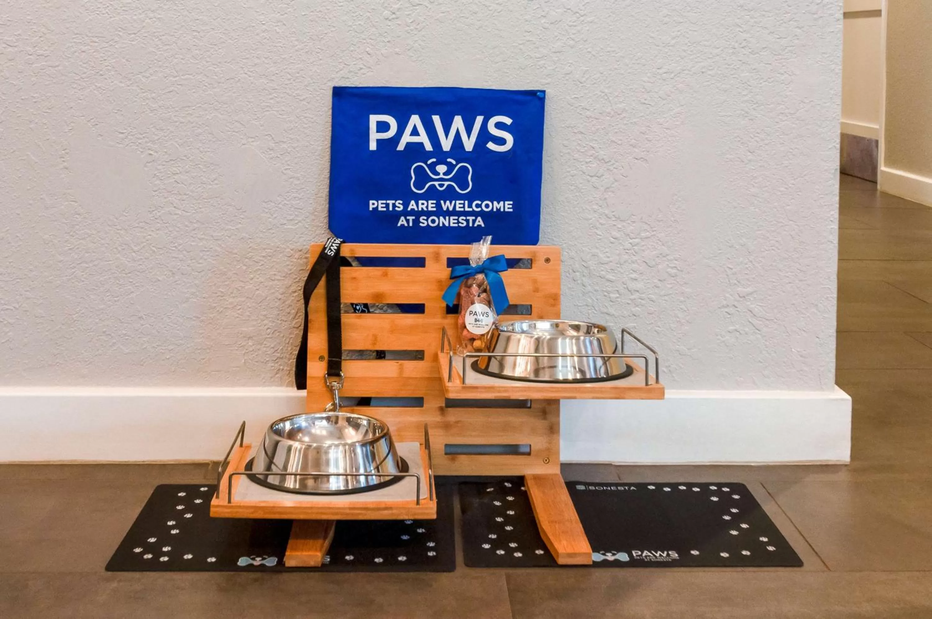 Pets in Sonesta Simply Suites Falls Church