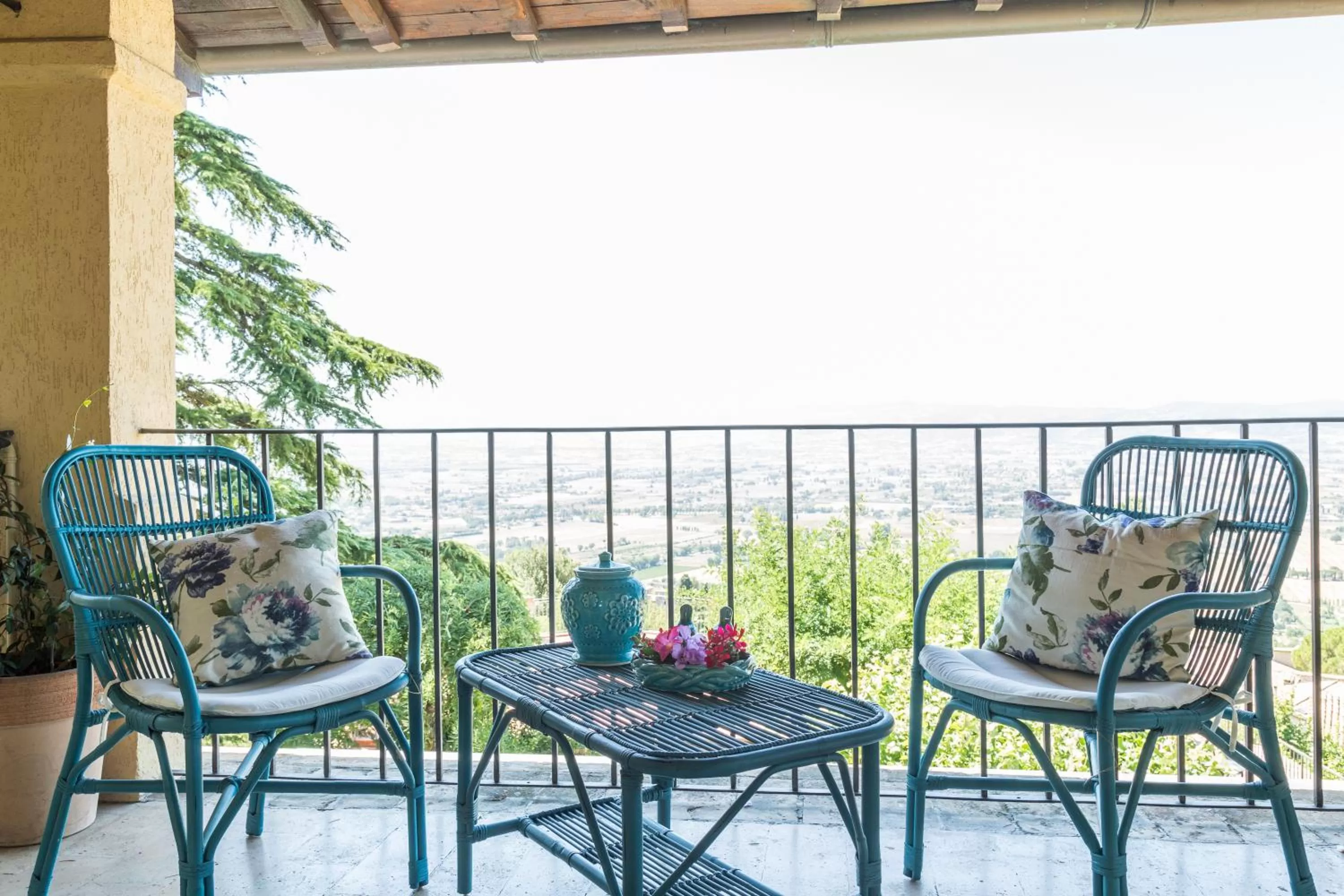 Garden view in Hotel Ideale