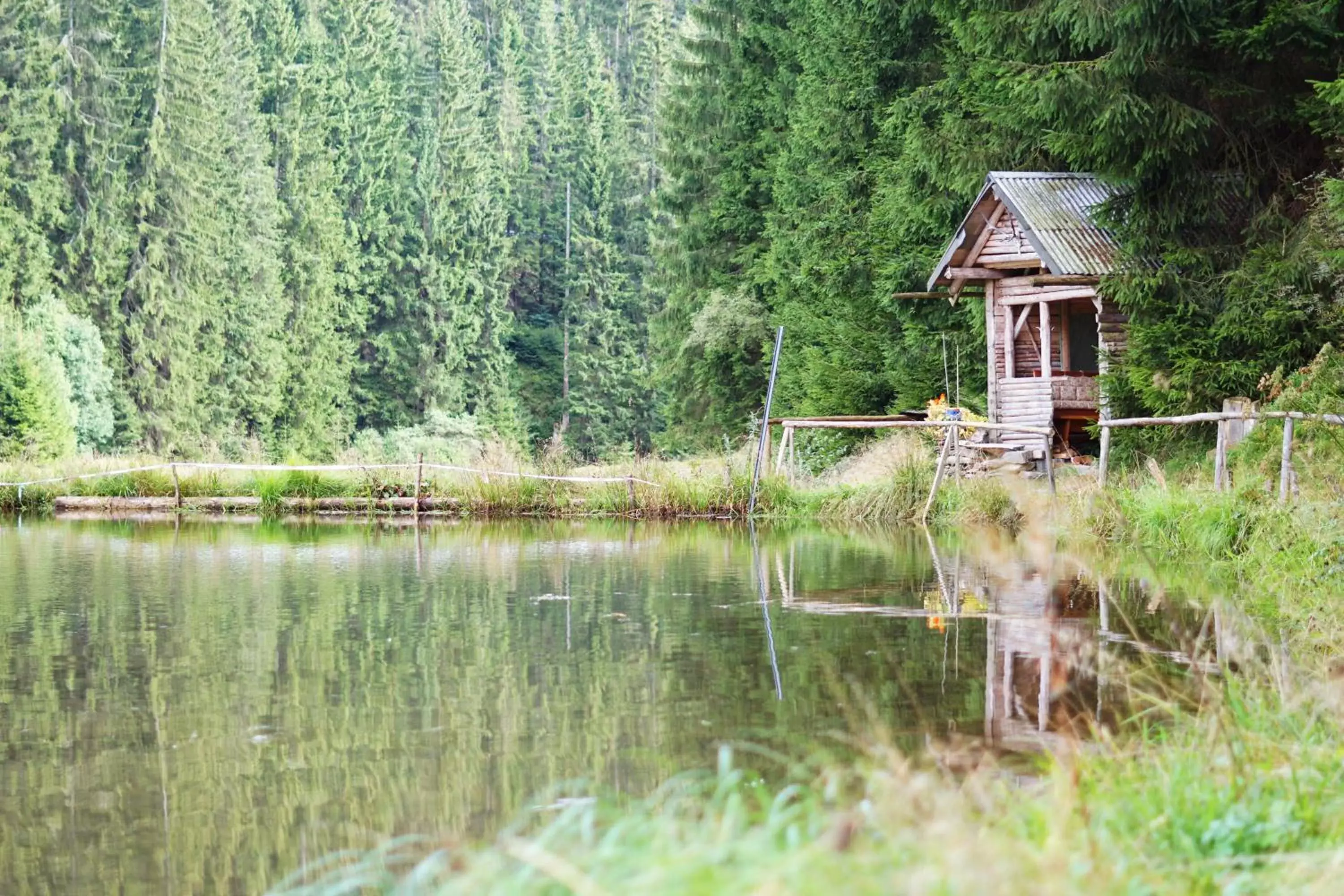 Natural landscape in Hotel Beck