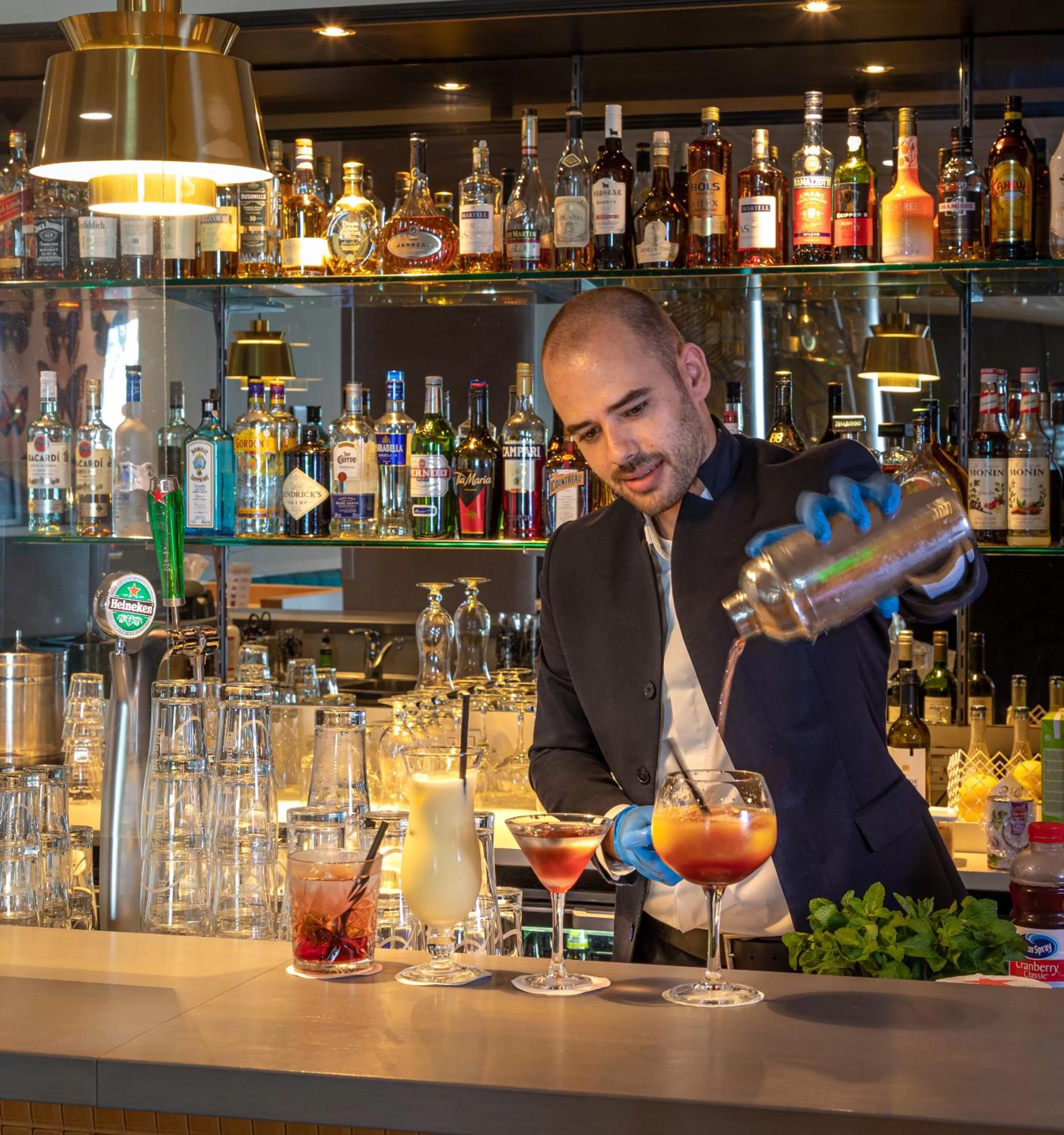 Meals in Novotel Den Haag World Forum