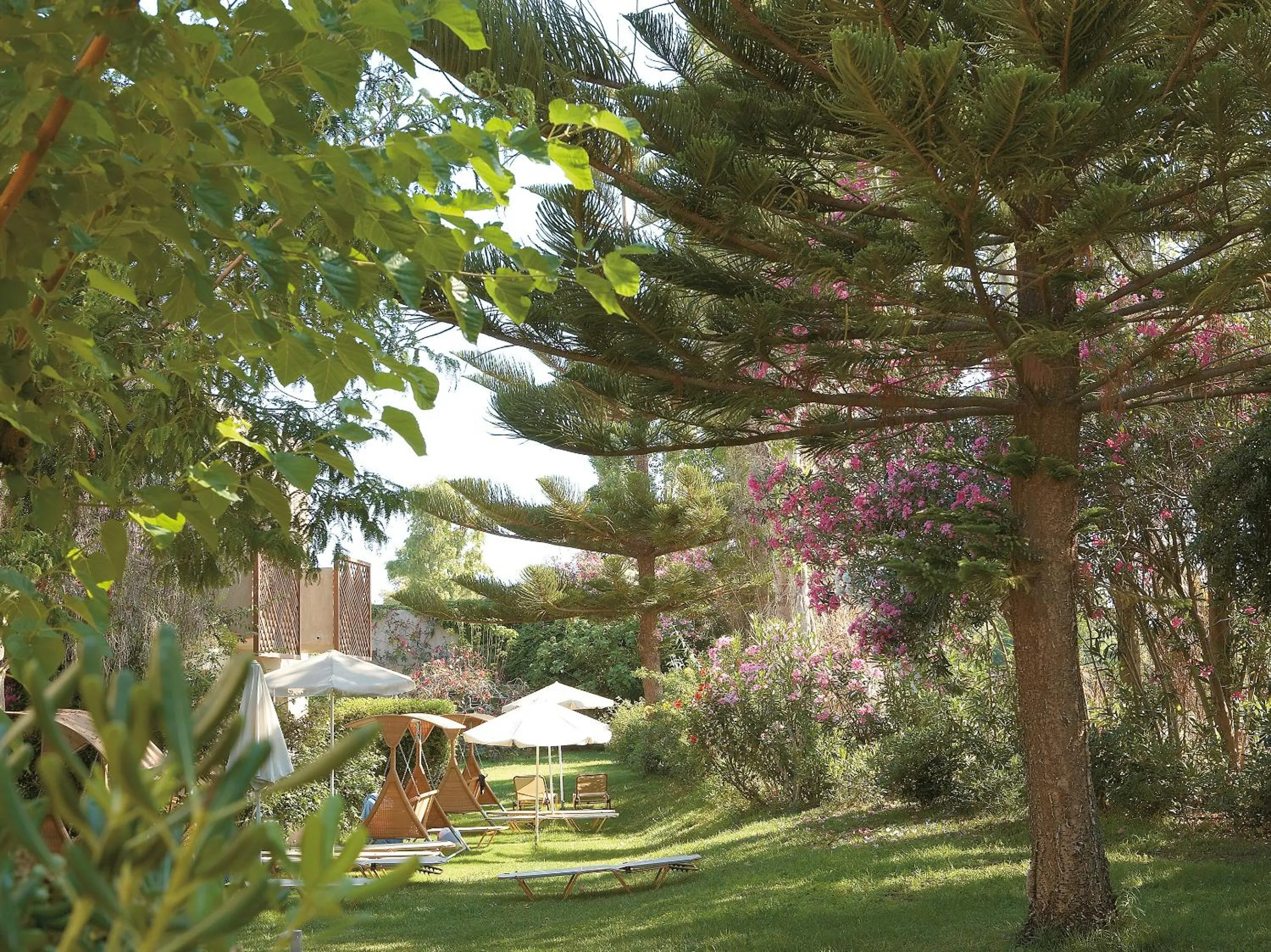 Natural landscape in Grecotel Creta Palace