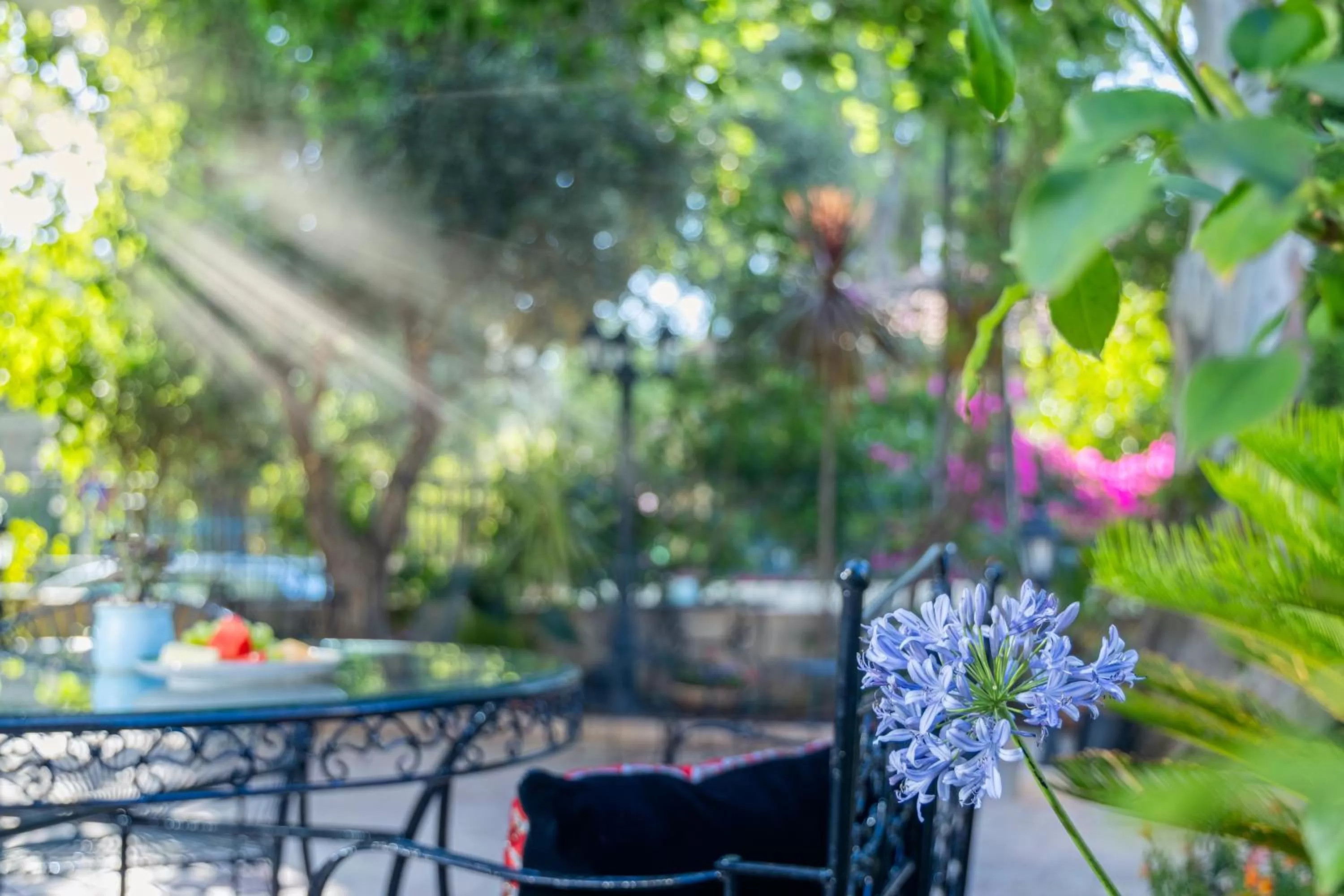 Balcony/Terrace in Villa Brown Moshava - a member of Brown Hotels